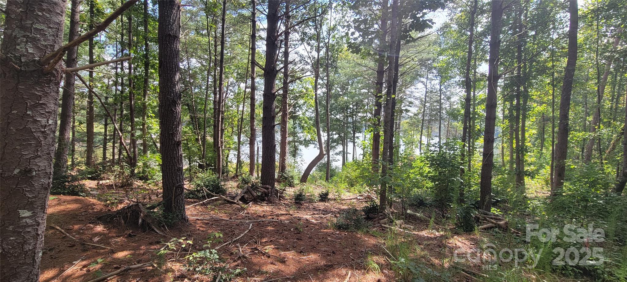 The Waterfront Club - Land