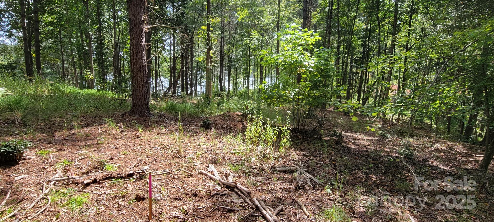 The Waterfront Club - Land