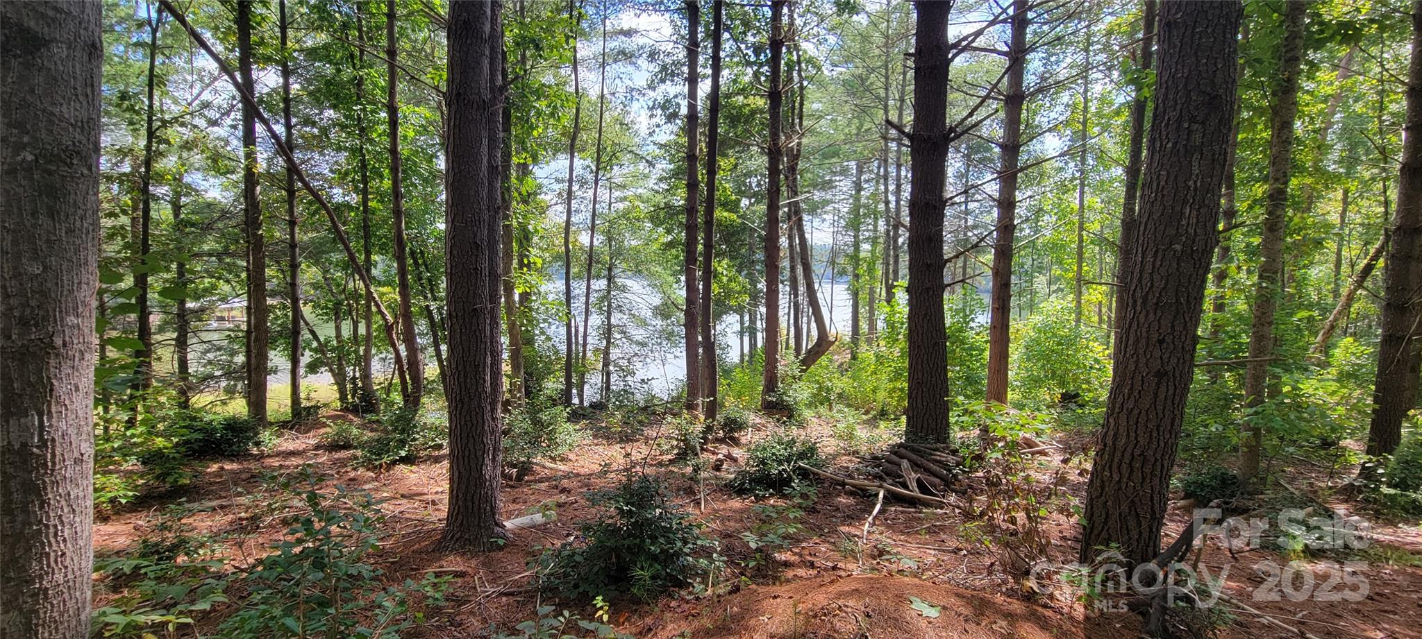 The Waterfront Club - Land