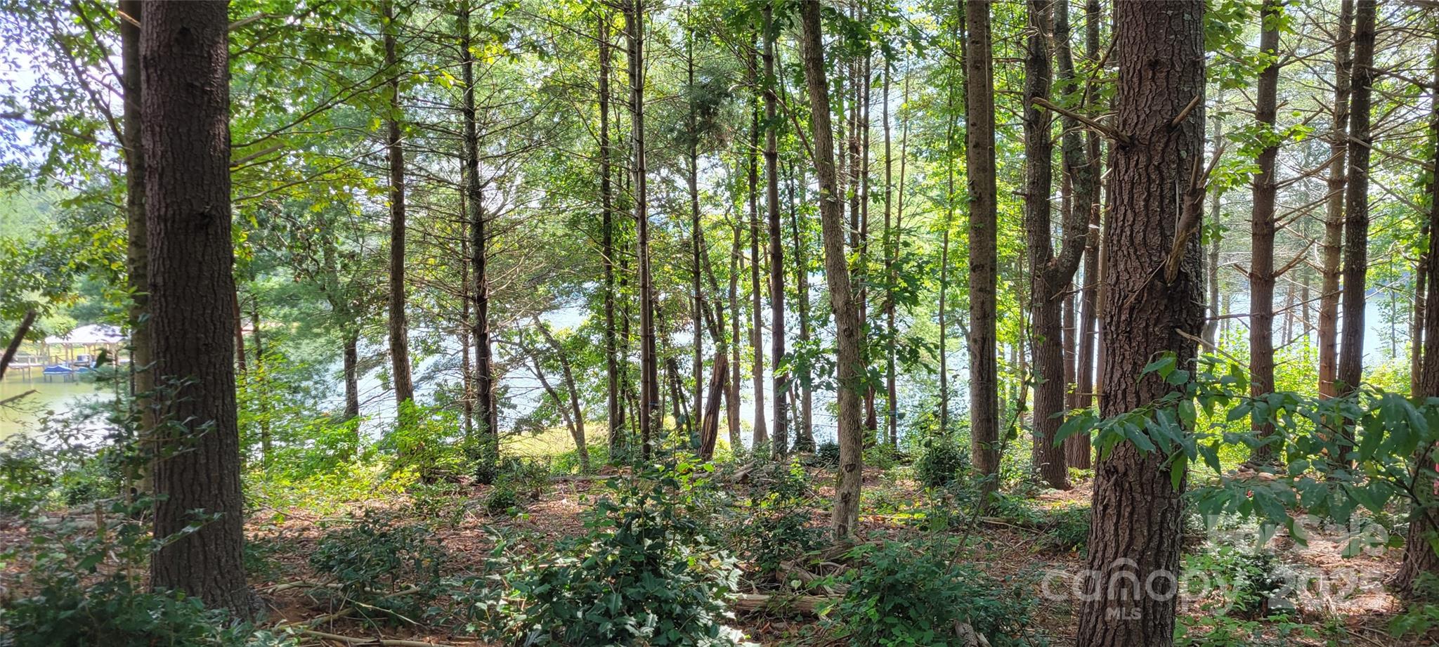 The Waterfront Club - Land