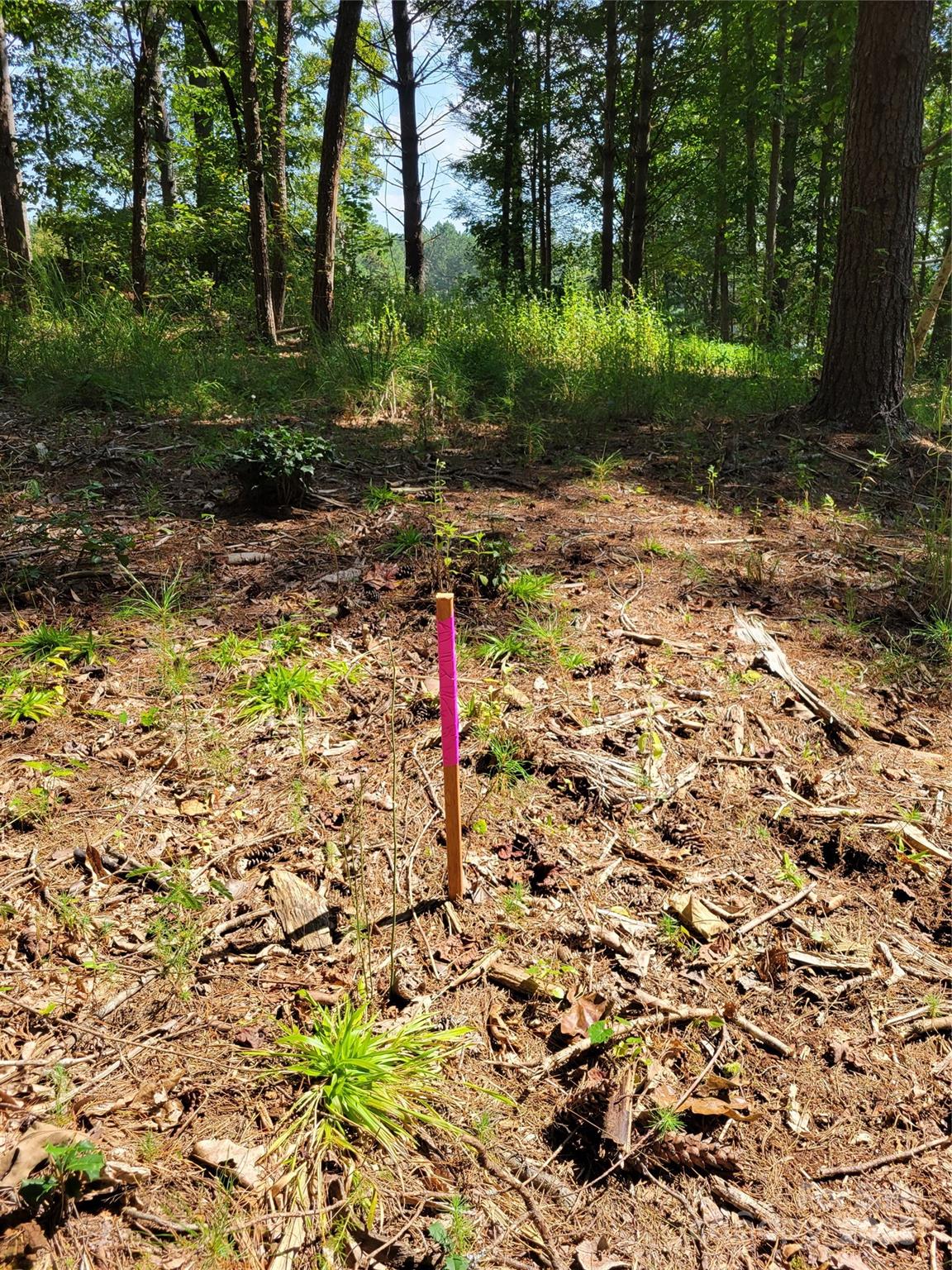 The Waterfront Club - Land