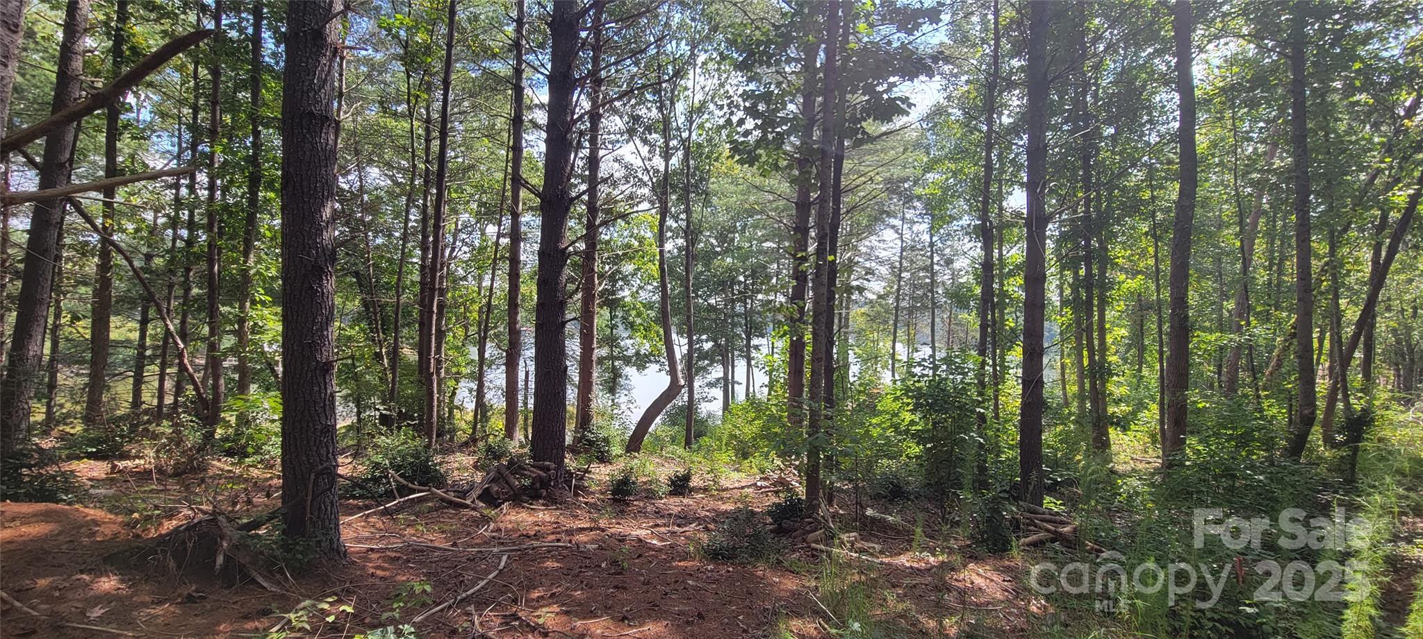 The Waterfront Club - Land