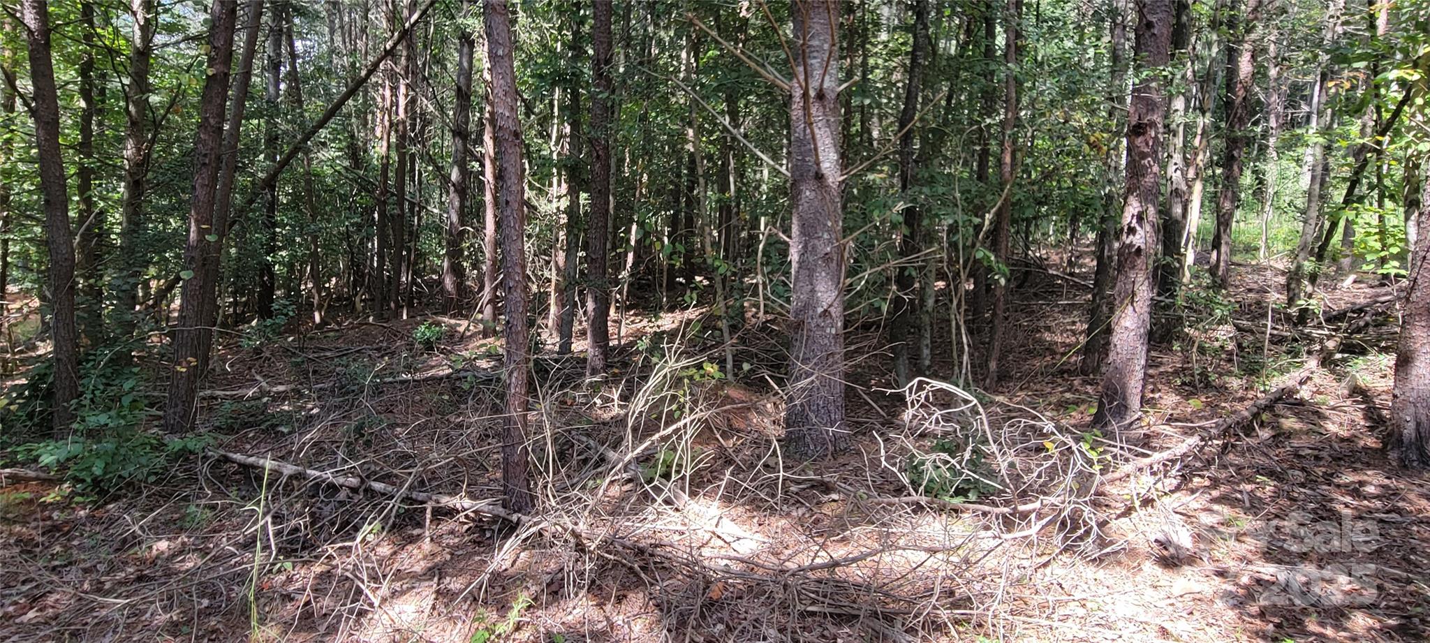 The Waterfront Club - Land