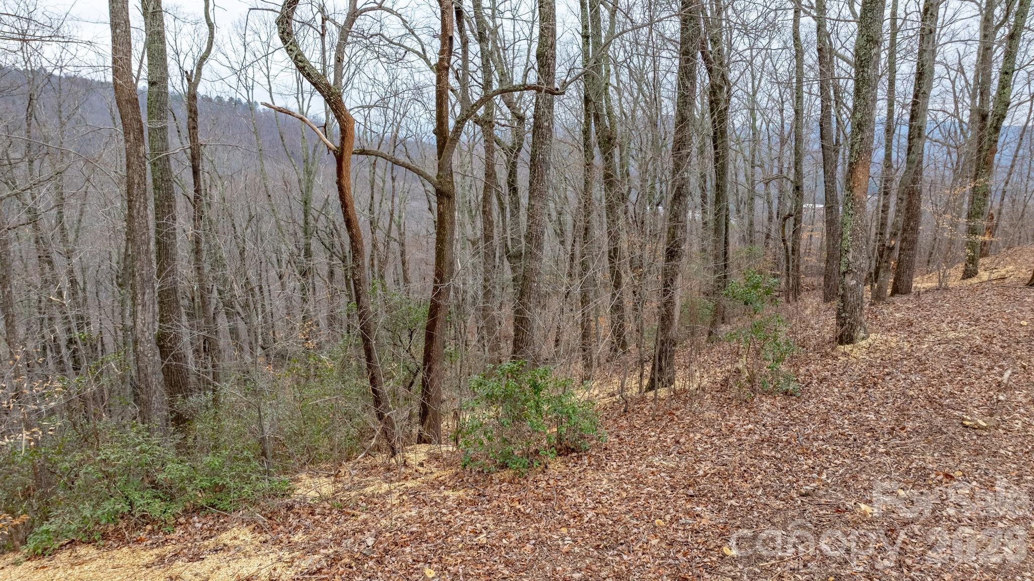 Grants Mountain - Land