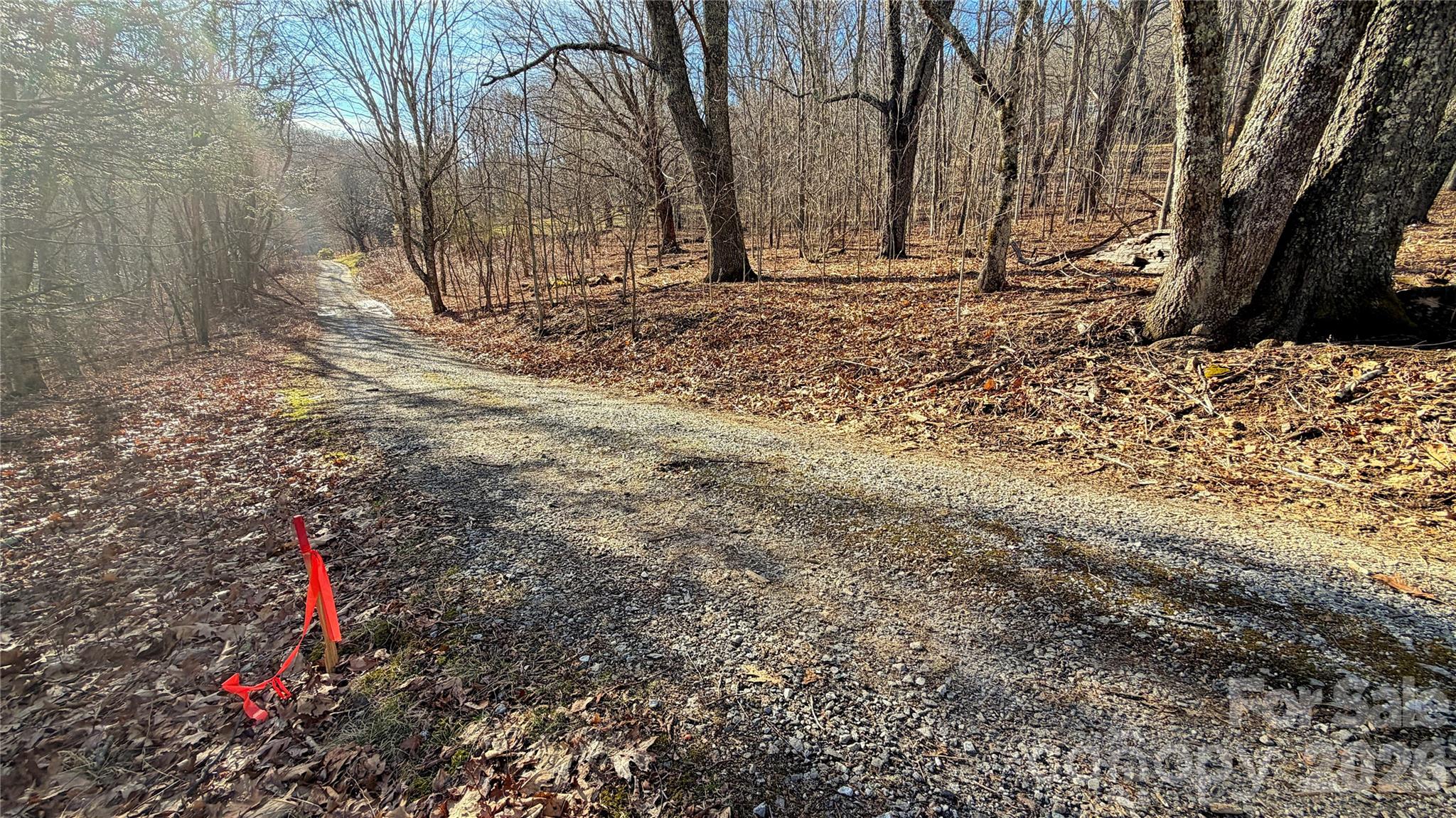 Eagles Nest Mountain - Land
