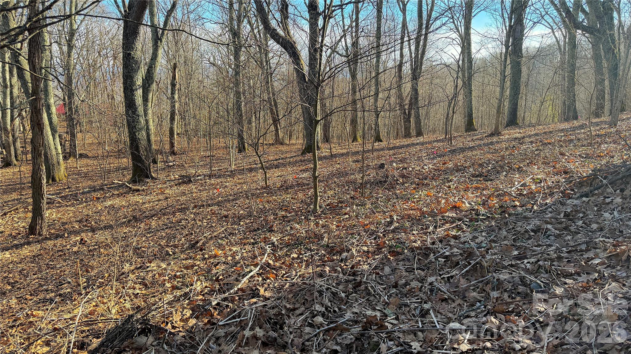 Eagles Nest Mountain - Land