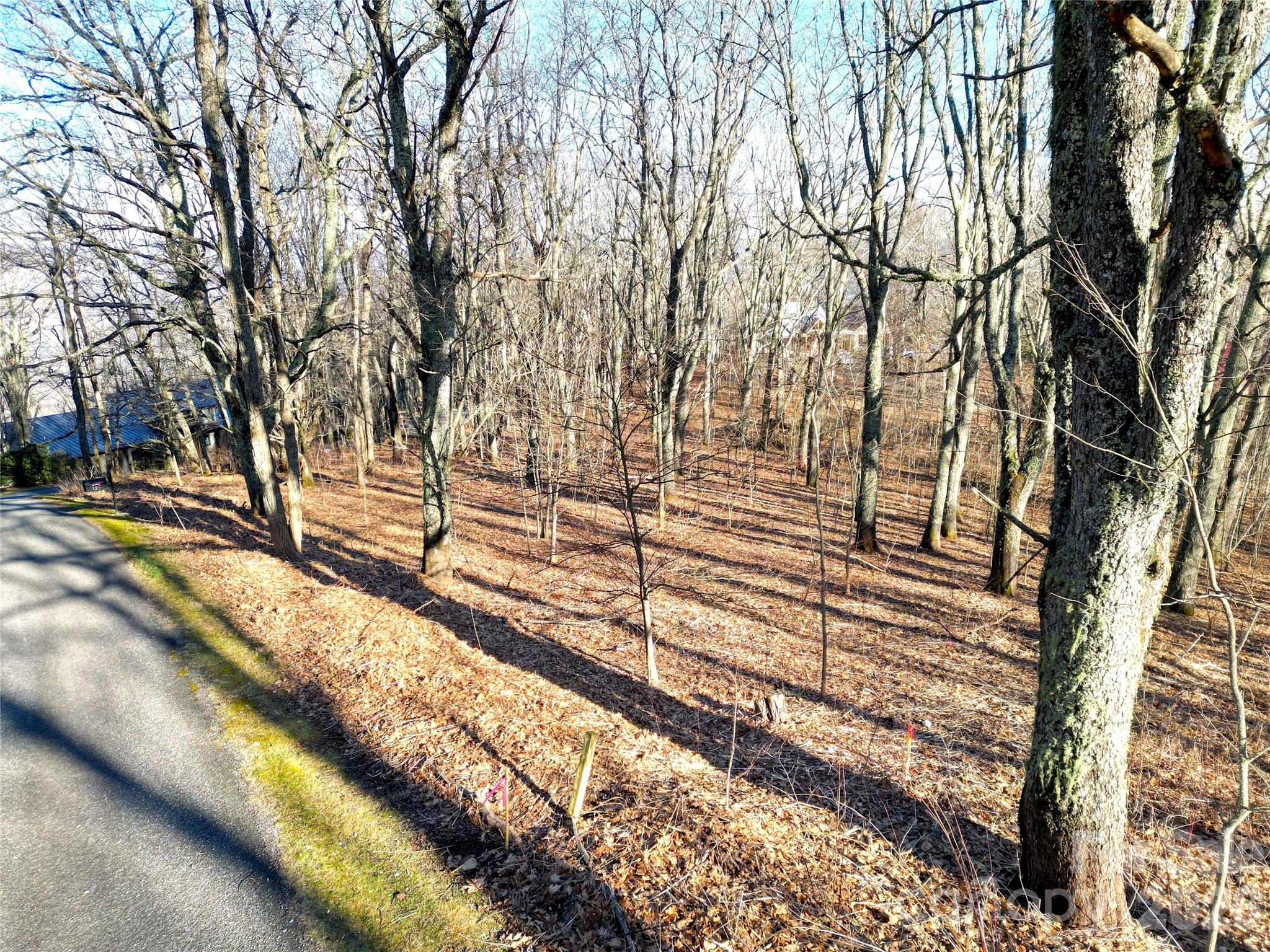 Eagles Nest Mountain - Land