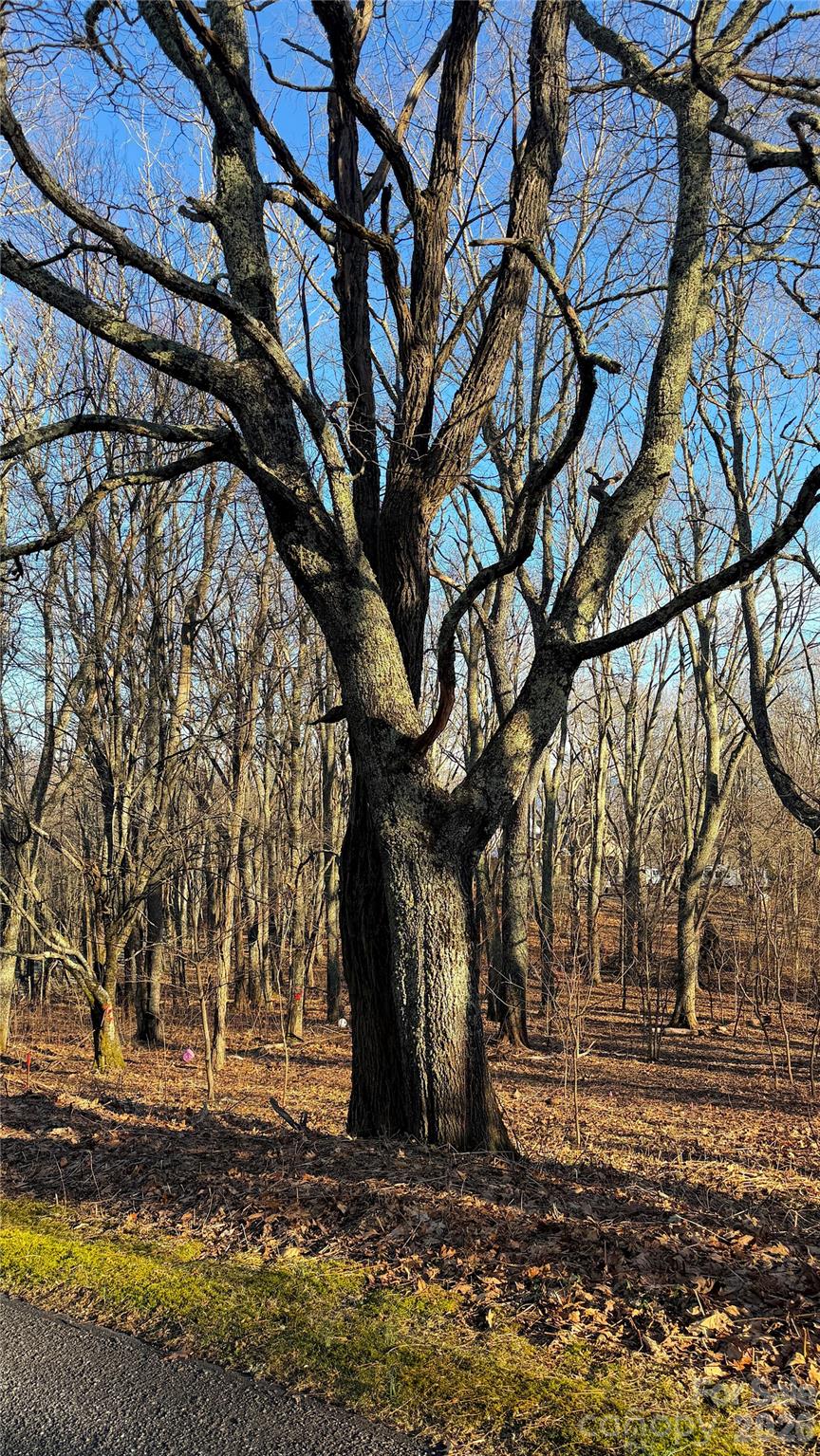 Eagles Nest Mountain - Land