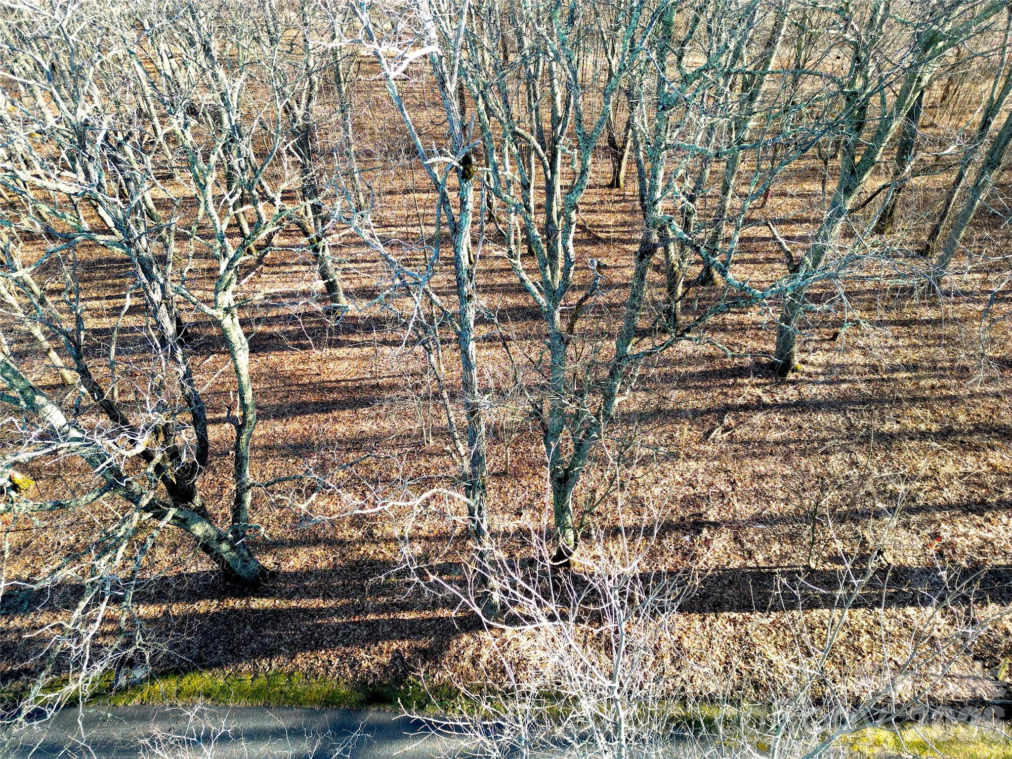 Eagles Nest Mountain - Land