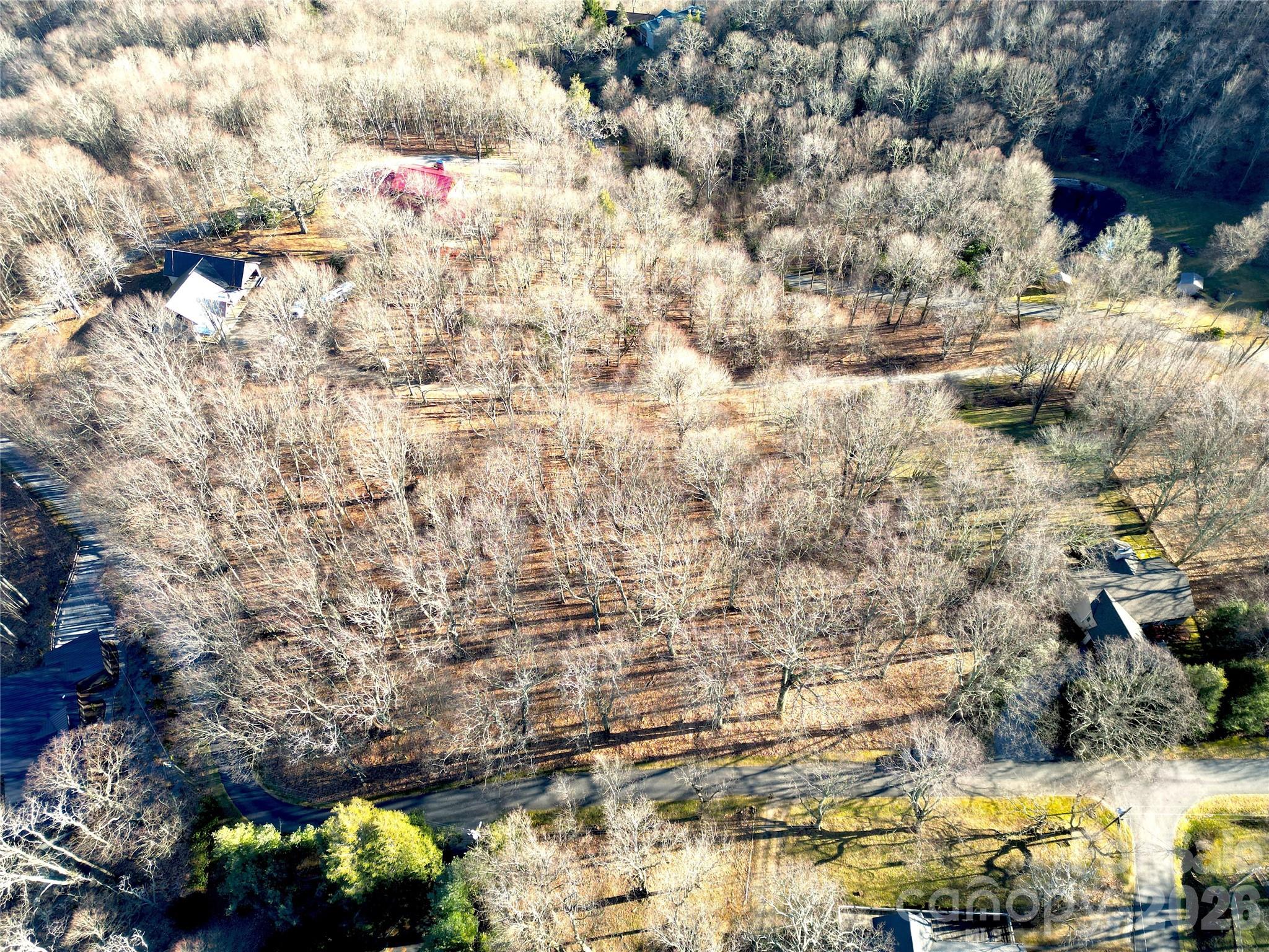 Eagles Nest Mountain - Land