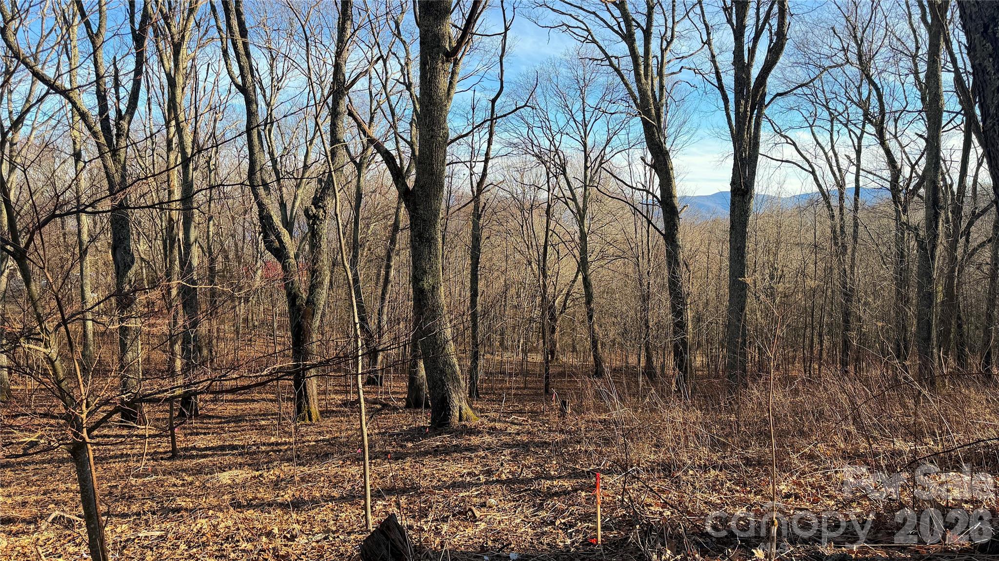 Eagles Nest Mountain - Land