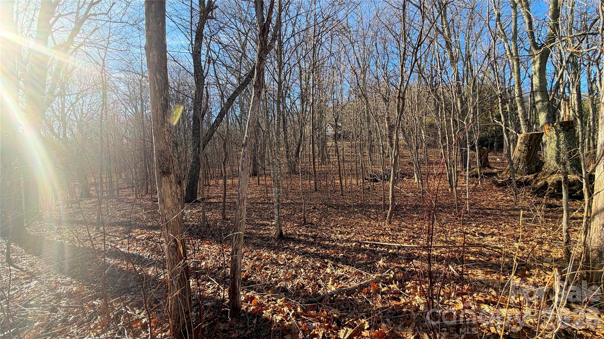 Eagles Nest Mountain - Land