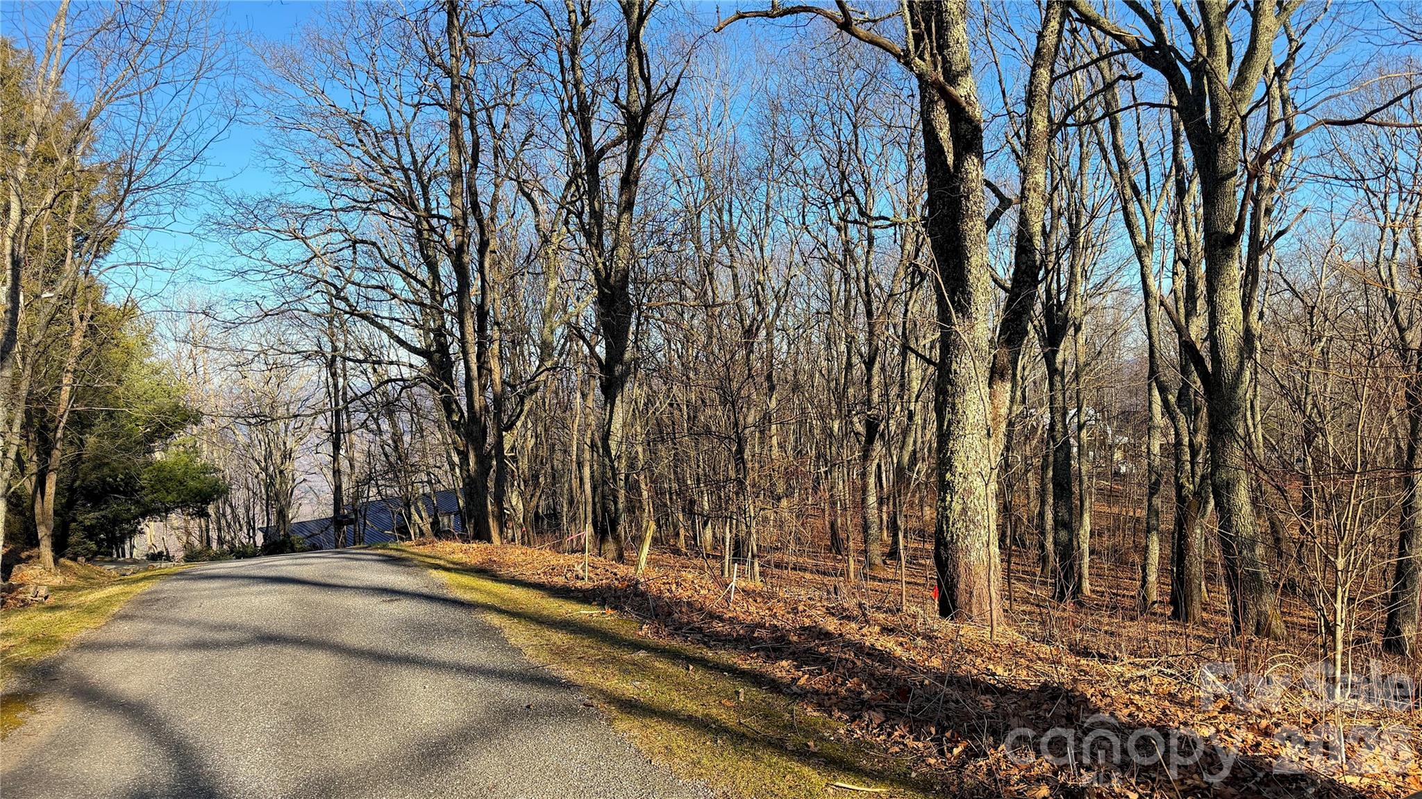 Eagles Nest Mountain - Land