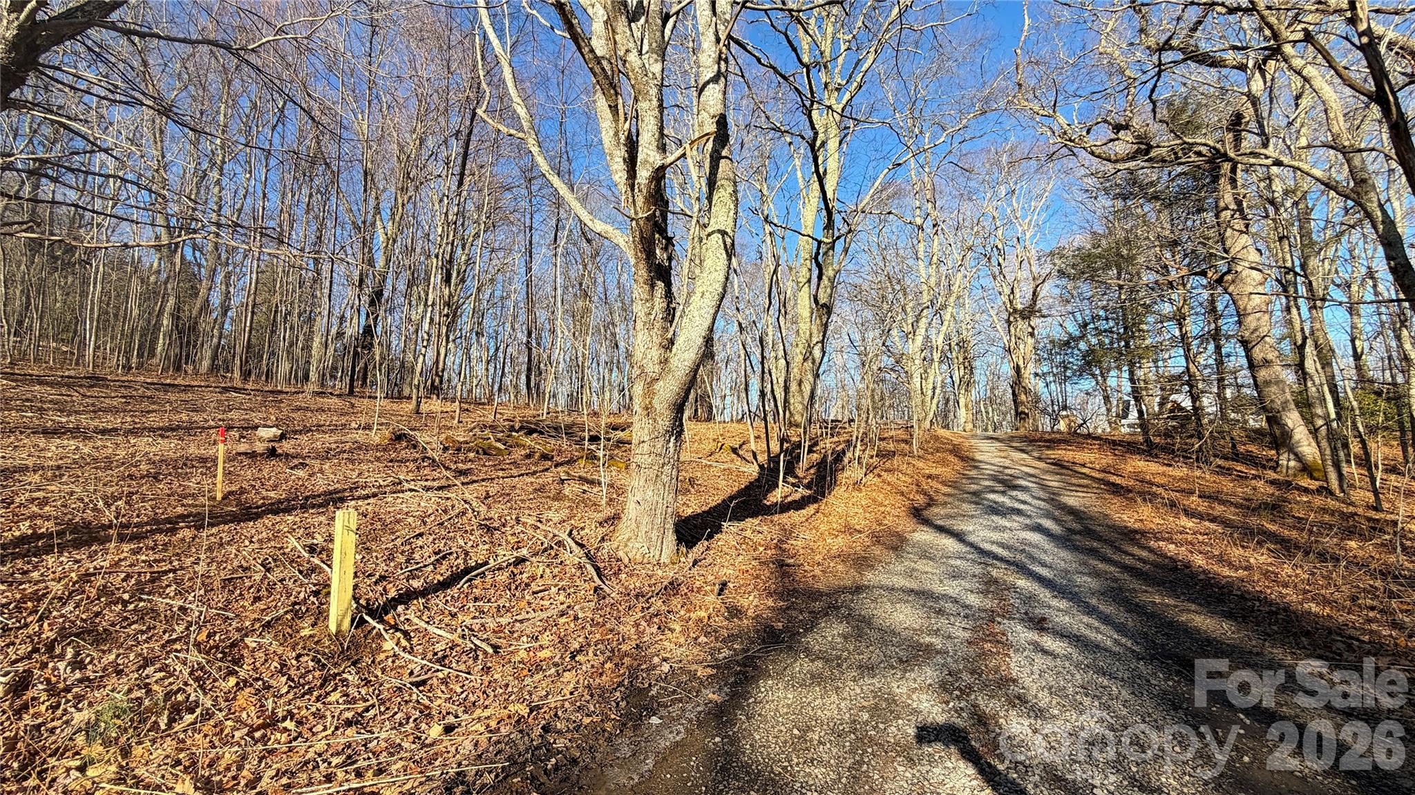 Eagles Nest Mountain - Land