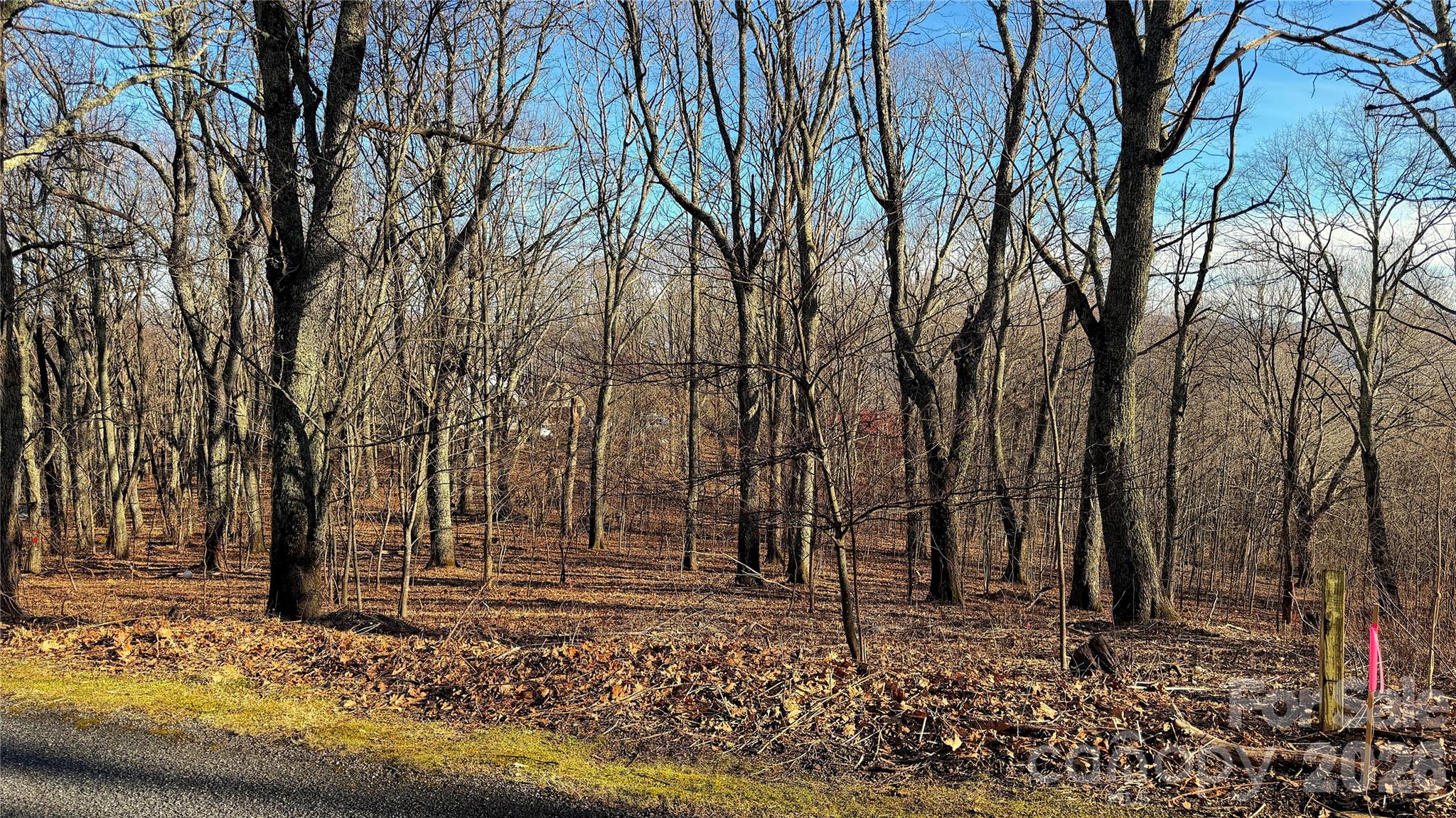 Eagles Nest Mountain - Land