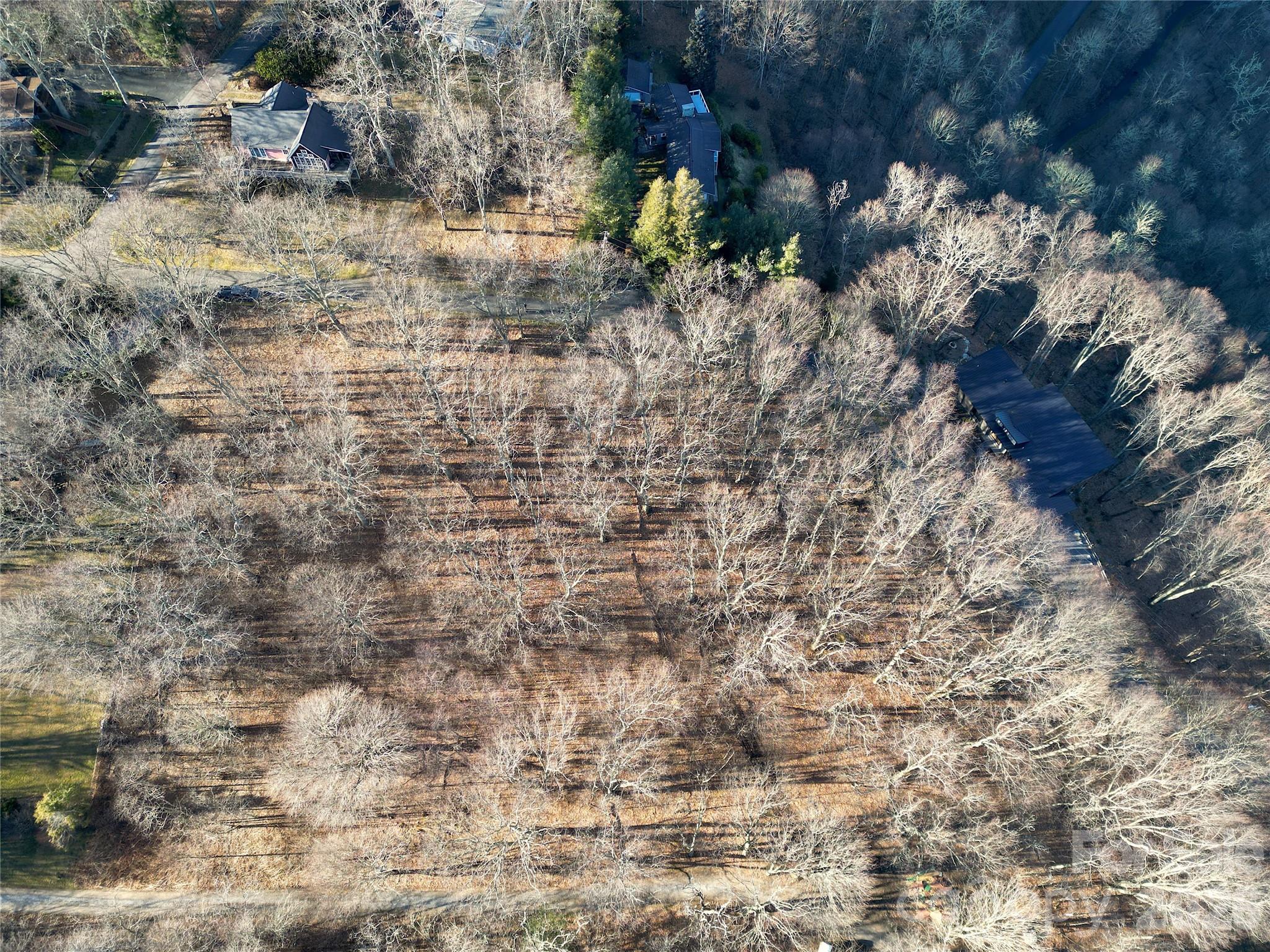 Eagles Nest Mountain - Land