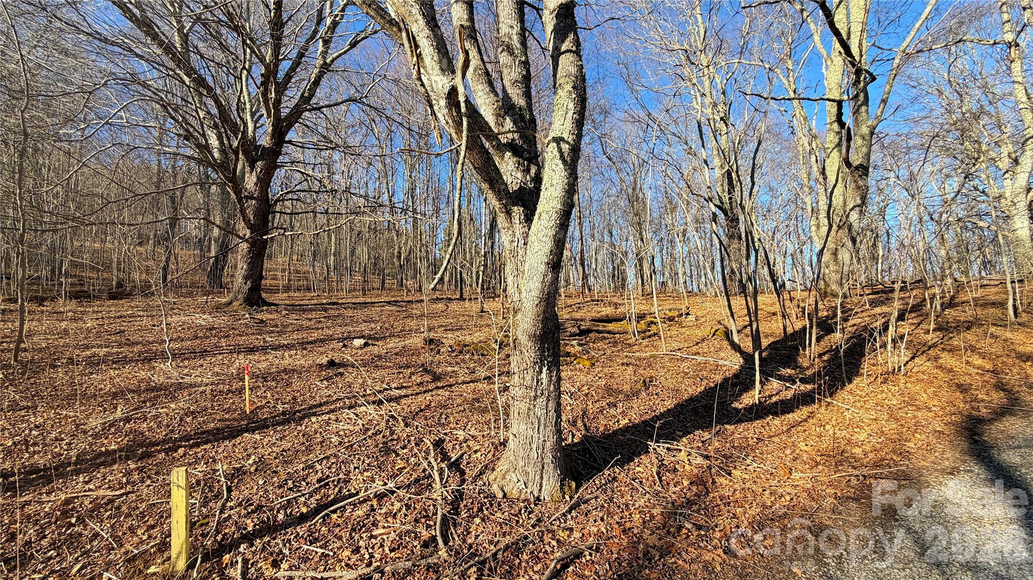 Eagles Nest Mountain - Land