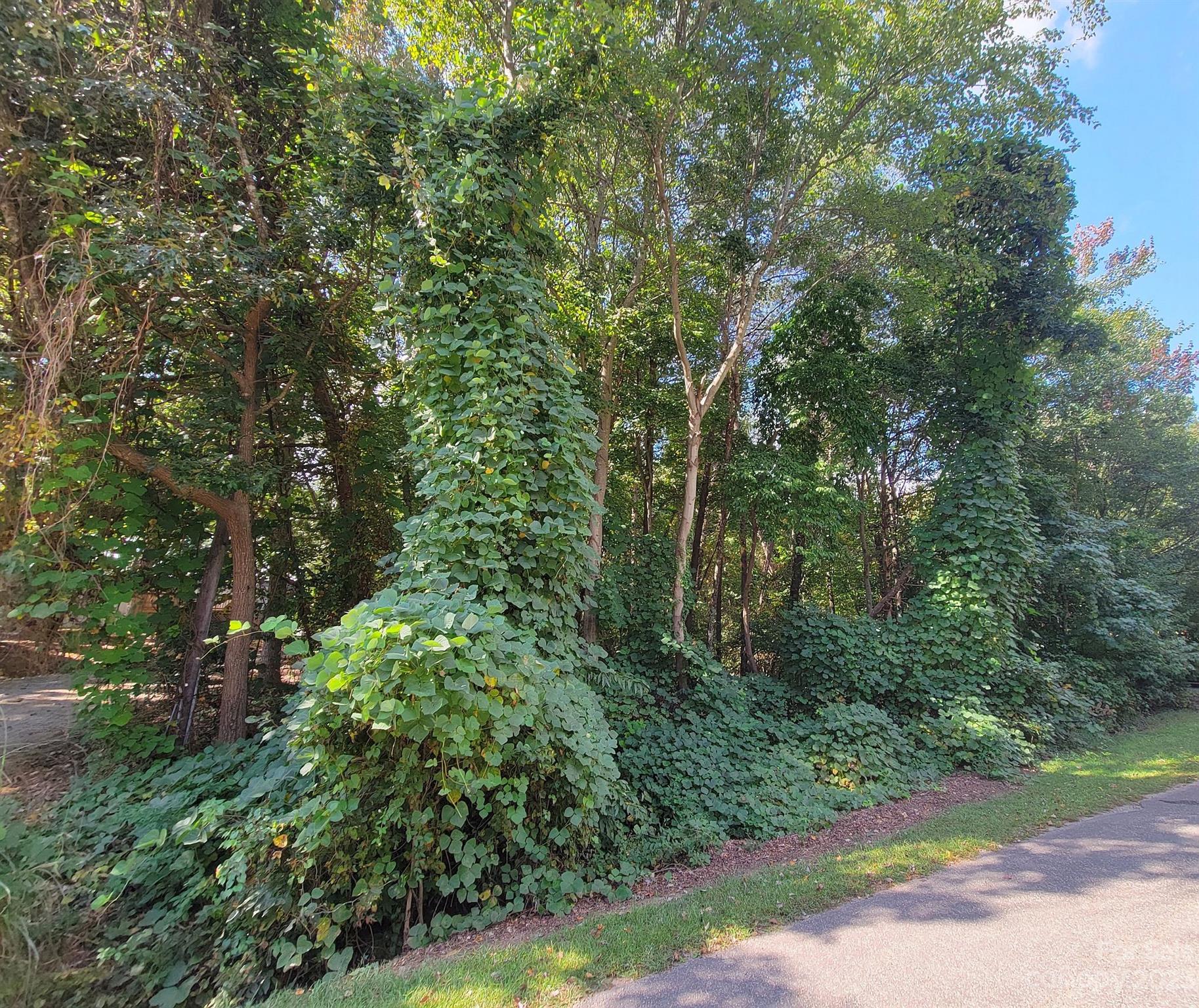 0000 Executive Circle