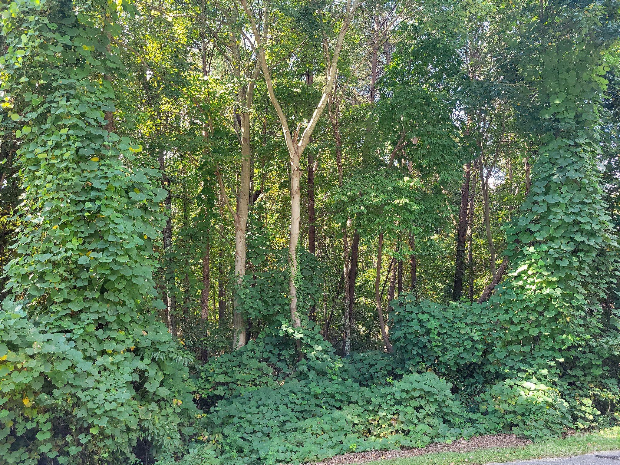 0000 Executive Circle