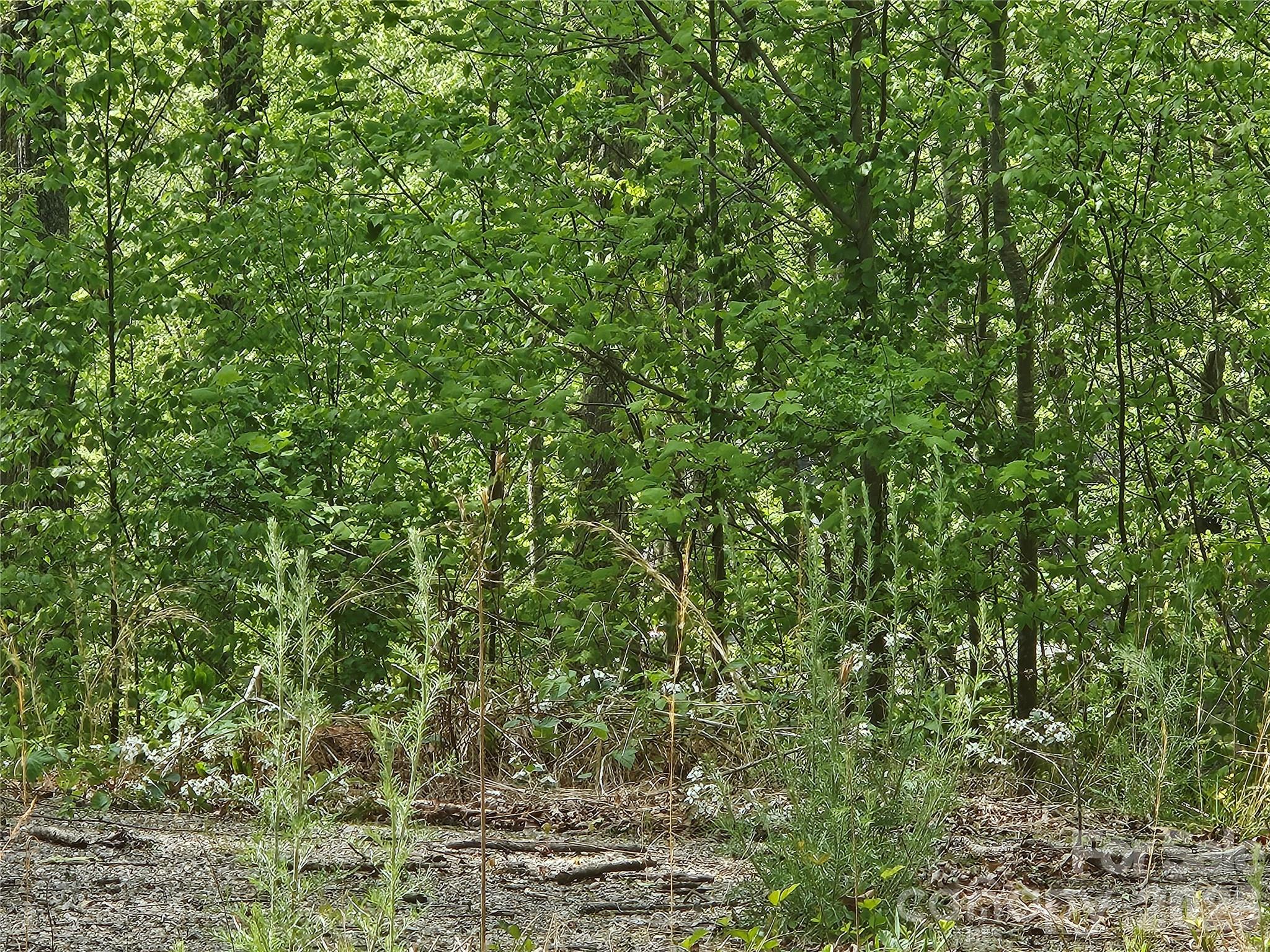 Big Cove Acres - Land