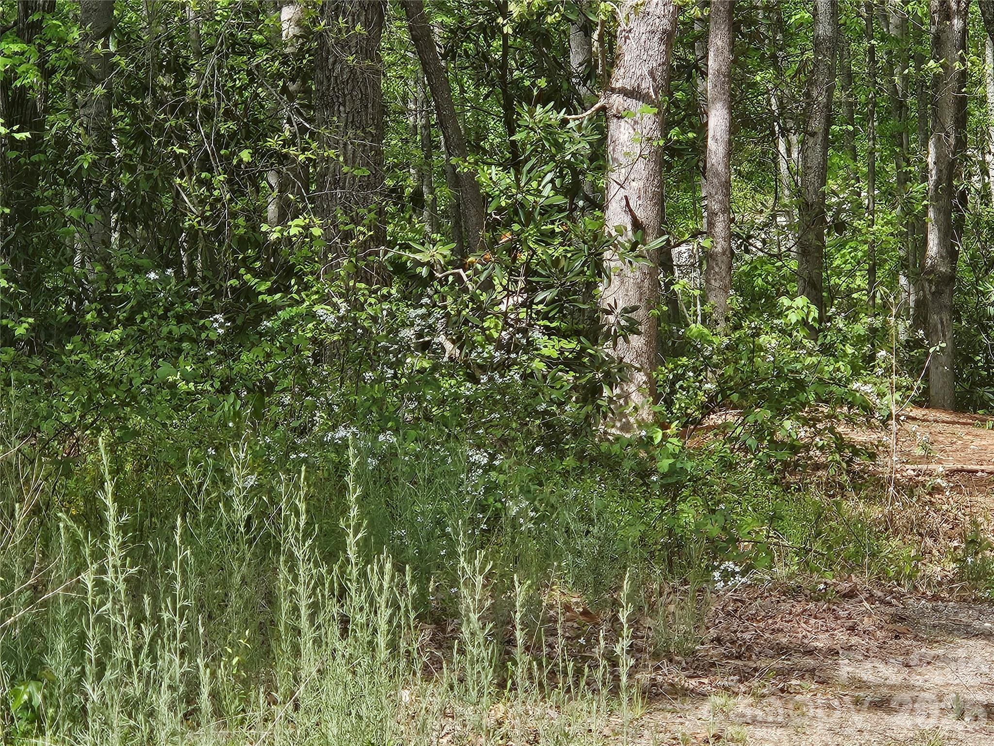 Big Cove Acres - Land
