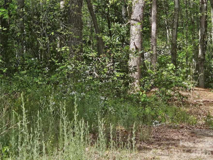 Nice buildable lot at the end of a quiet street in Big Cove Acres. Area of nice newer homes. Use the aerial or download landglide. Park at the end of the pavement and walk to the end of the gravel street. Lot is on the left.