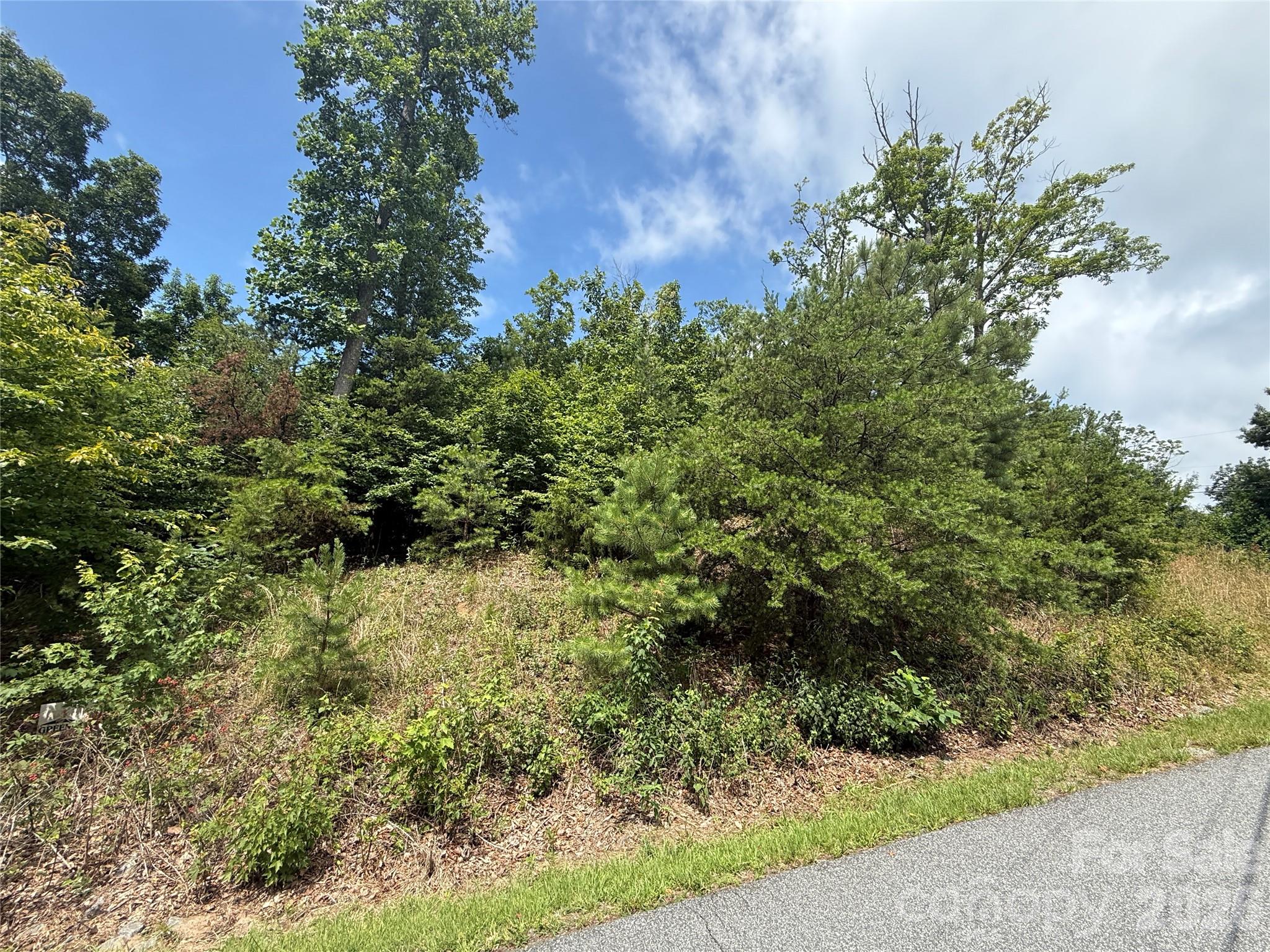 Lot 15 Arbra Mountain Way