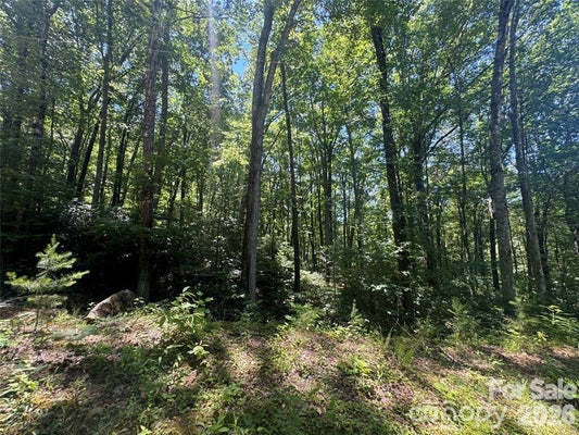 165 N POPLAR DR, LAKE LURE, NC 28746 - Image 077fb8fea86863d4cc0bb291ba35fa8a/2513129290