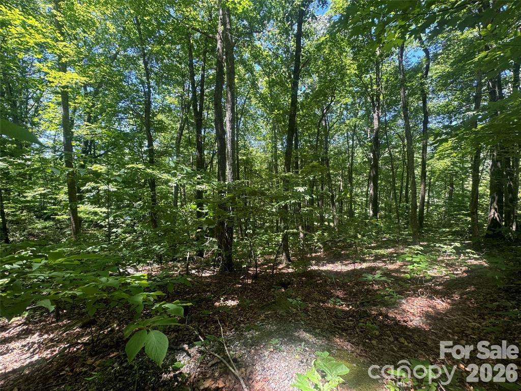165 N Poplar Drive