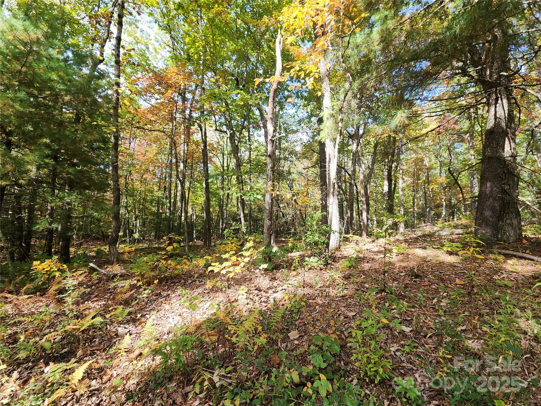 999999 N Pointe Drive 1