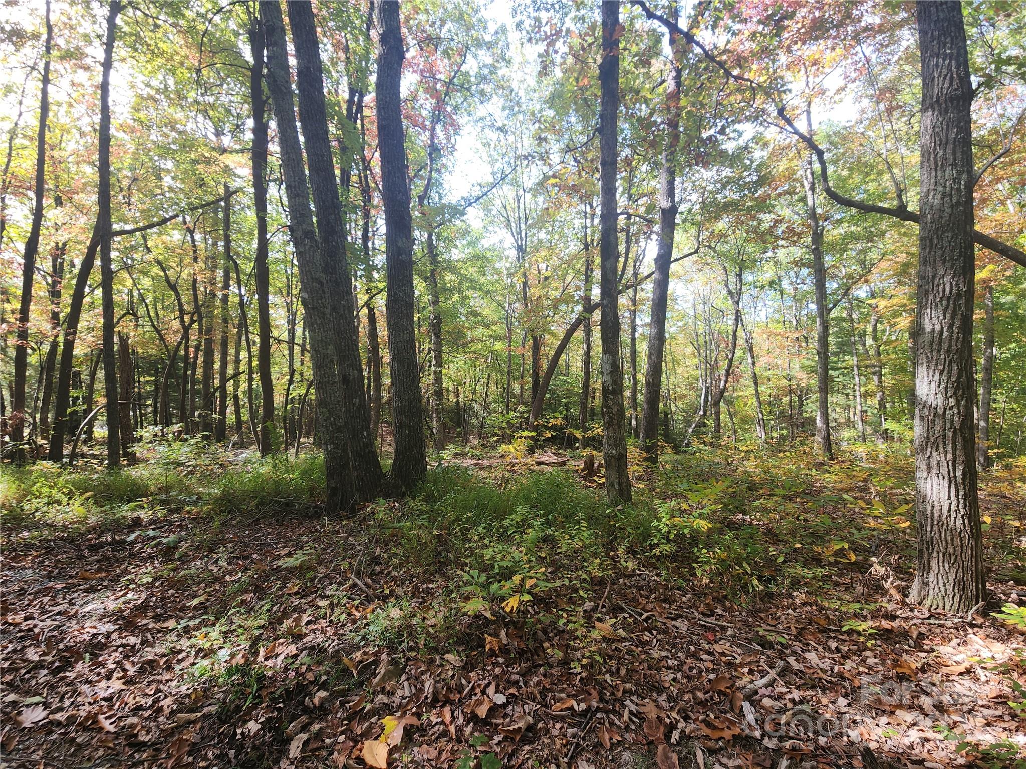 999999 N Pointe Drive 1