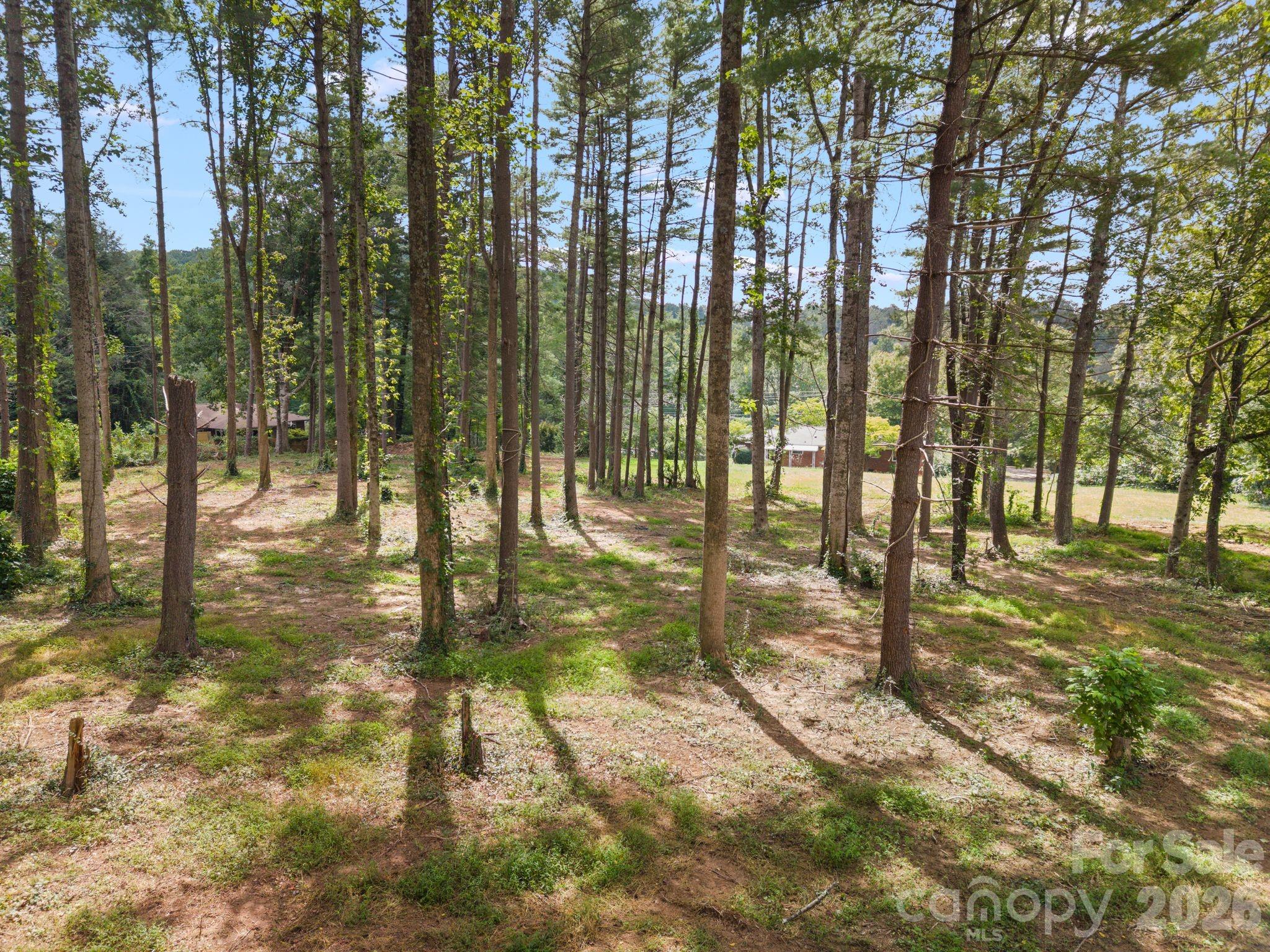 1452 Sweeten Creek Road