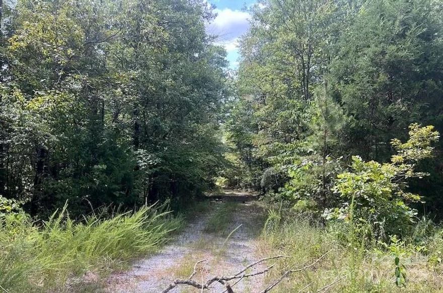 Bordering Whippoorwill Drive and wrapping along Blue Branch Road, Tract D has long frontage and level terrain that’s ideal for subdividing or building multiple homes. Utilities are nearby, and the location offers a quiet, rural feel just minutes from Gaffney.