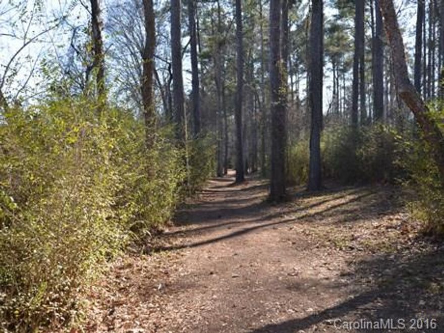 Bring your own builder or use ours!  Catawba Shores is a nature lovers paradise with kayaking, fishing and wildlife right outside your door! Septic permit issued!