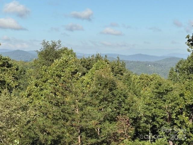 1077 Melrose Mountain Road