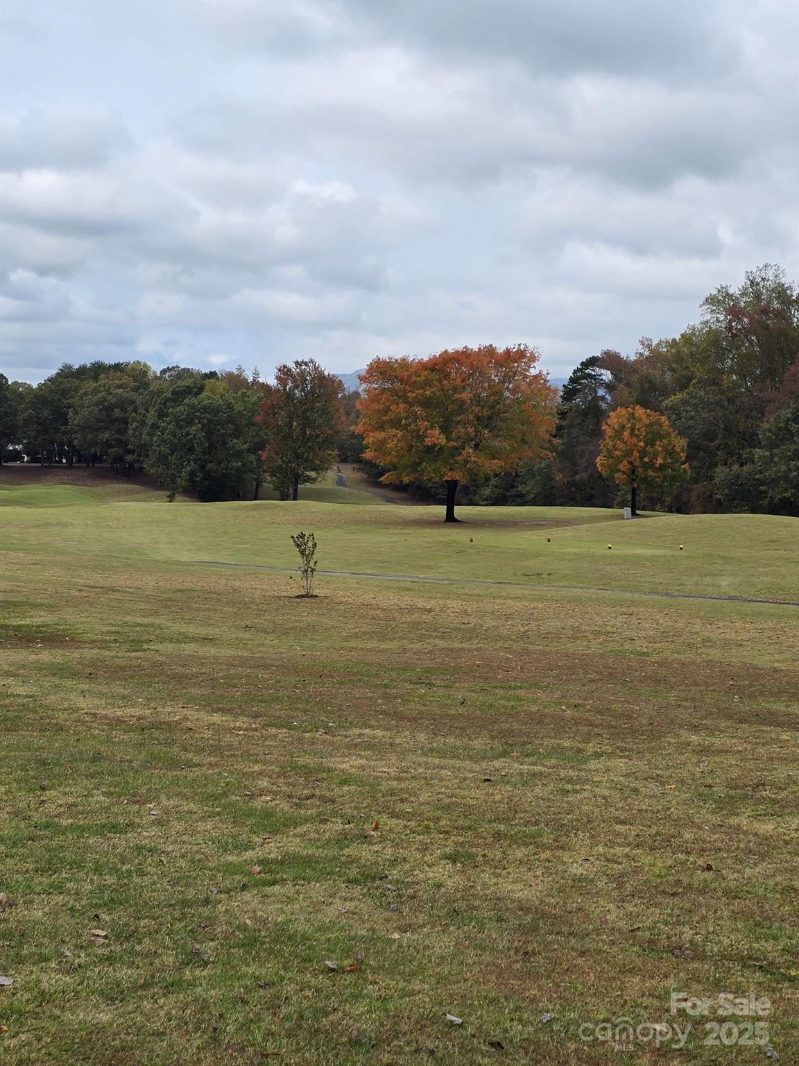 Links O Tryon - Residential