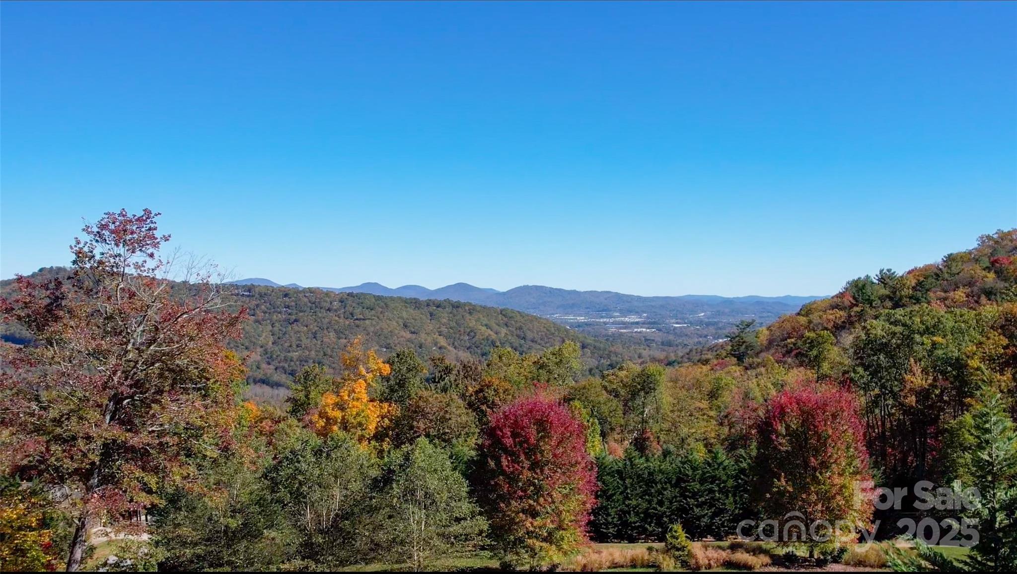 172 Pisgah Forest Trail