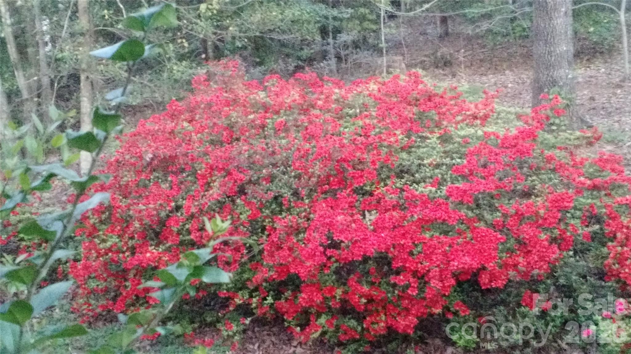 Ramblewoods - Residential