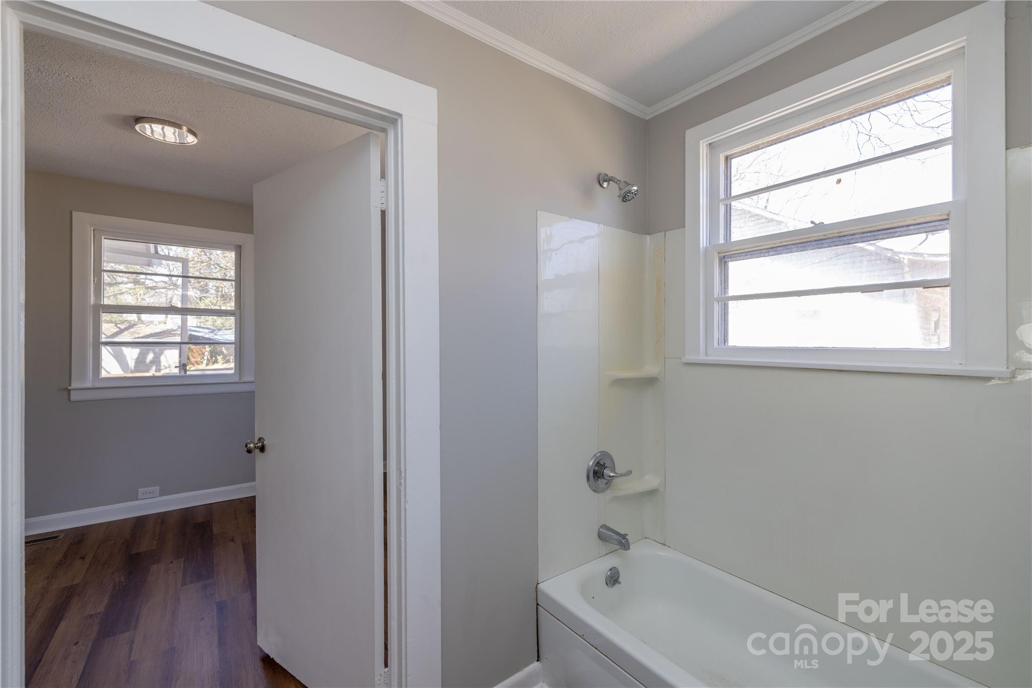 None - Residential Lease