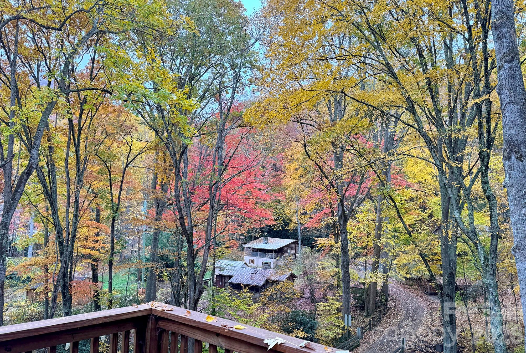 500 Winter Star Road