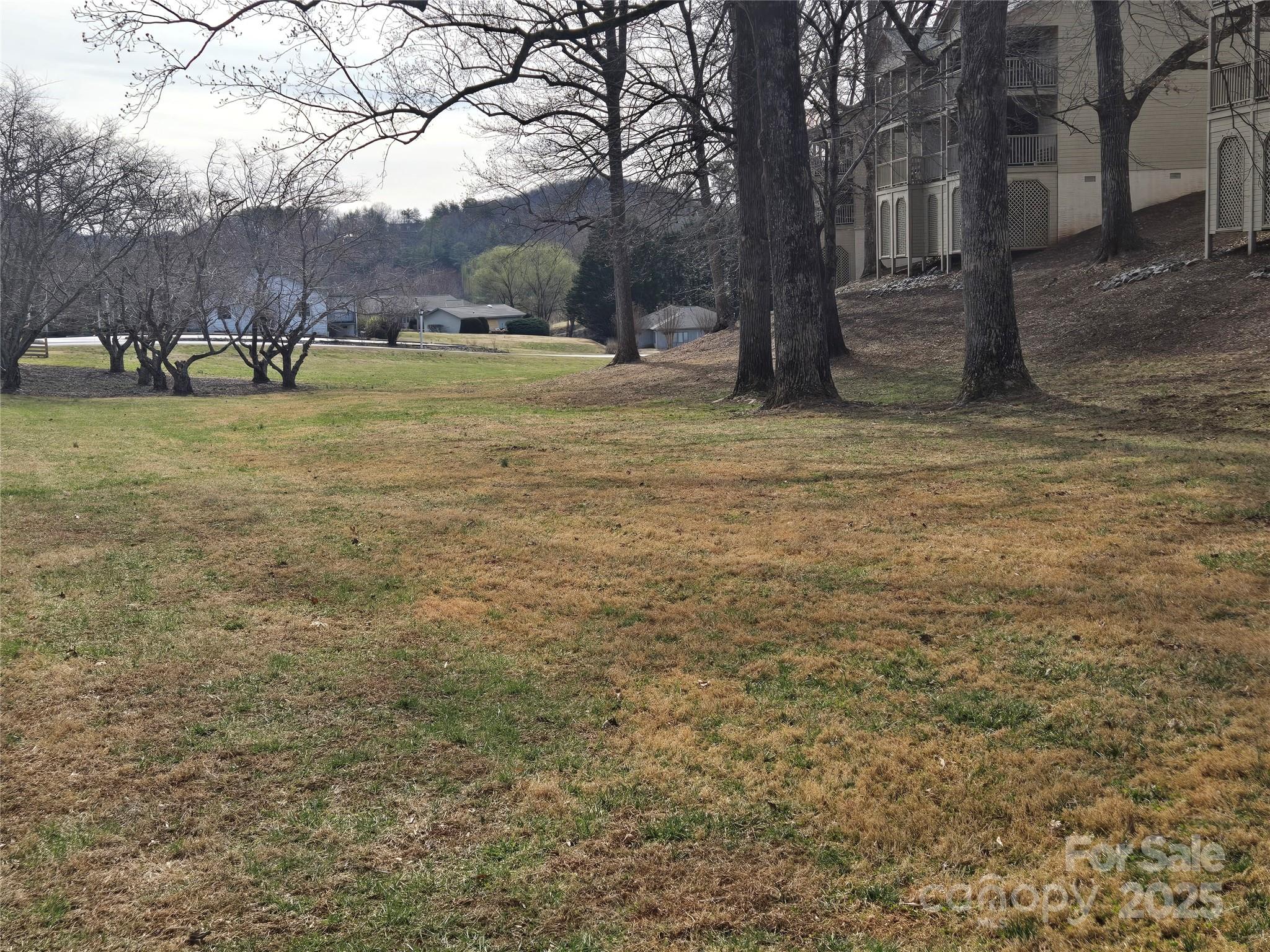 Rumbling Bald on Lake Lure - Residential