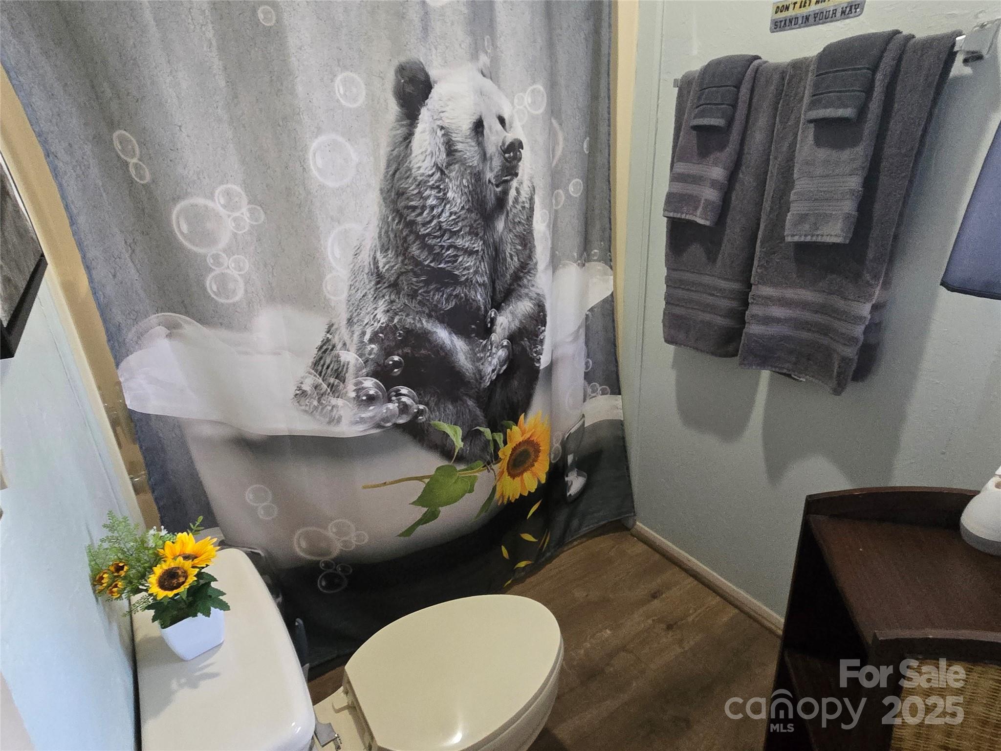 Rumbling Bald on Lake Lure - Residential