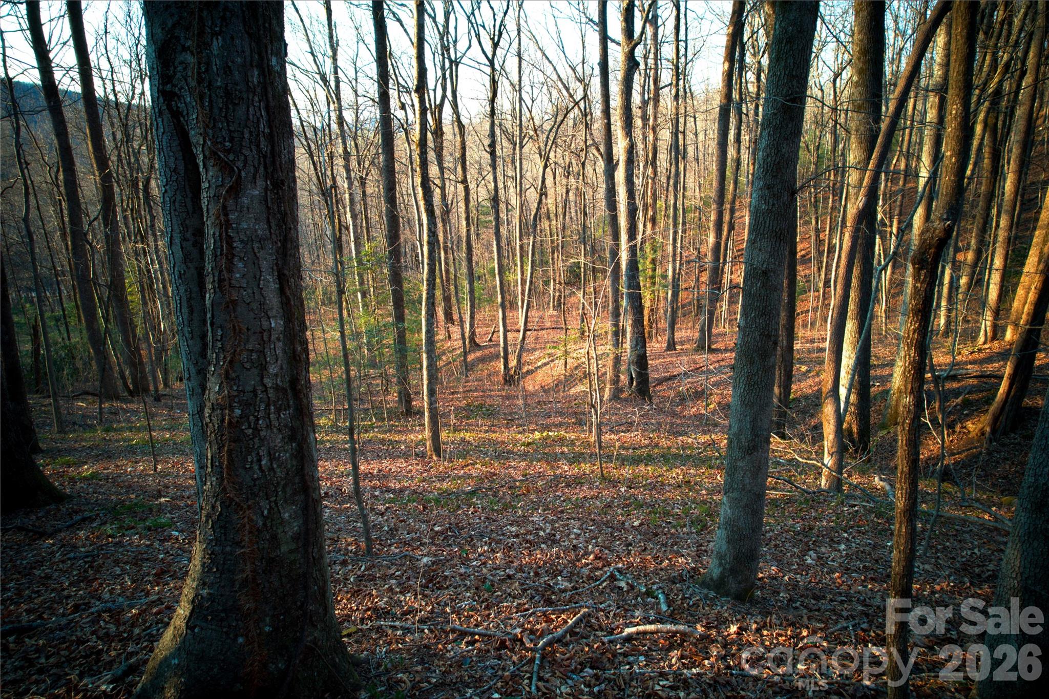 October Ridge - Land