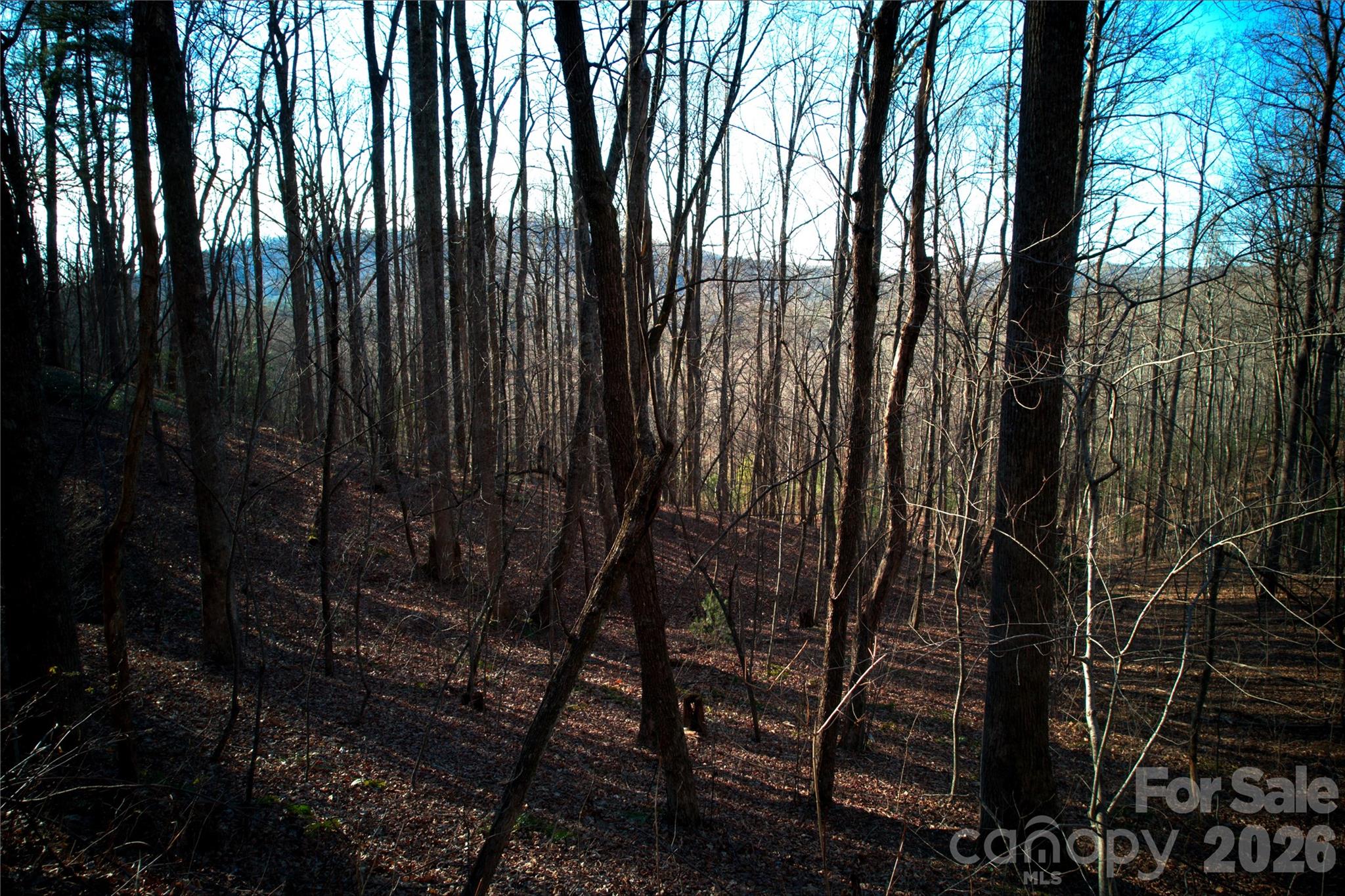 October Ridge - Land