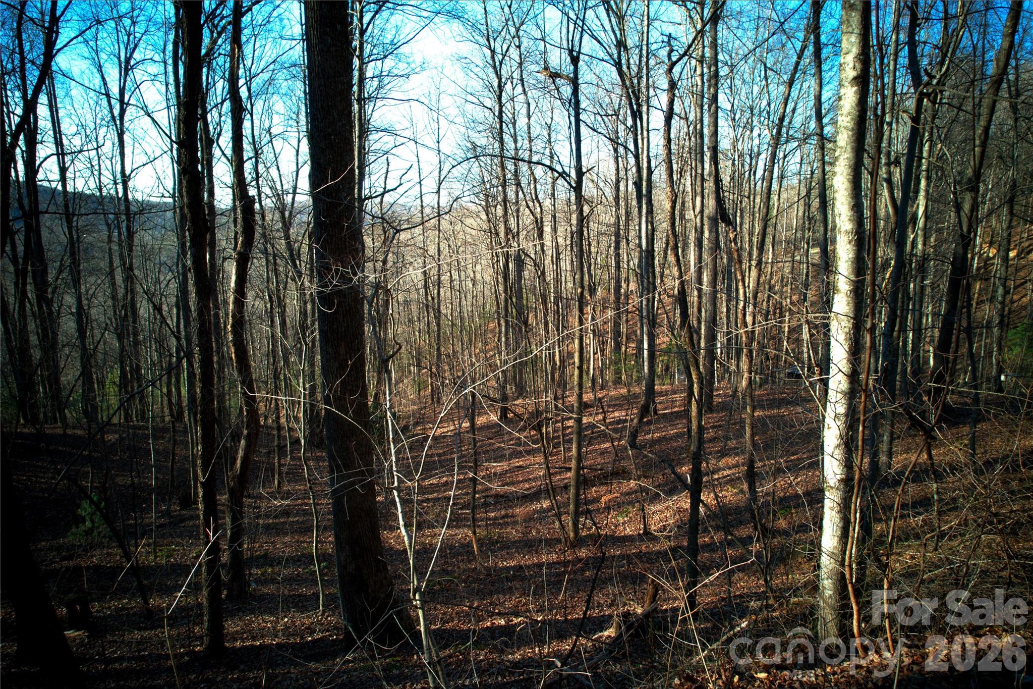 October Ridge - Land