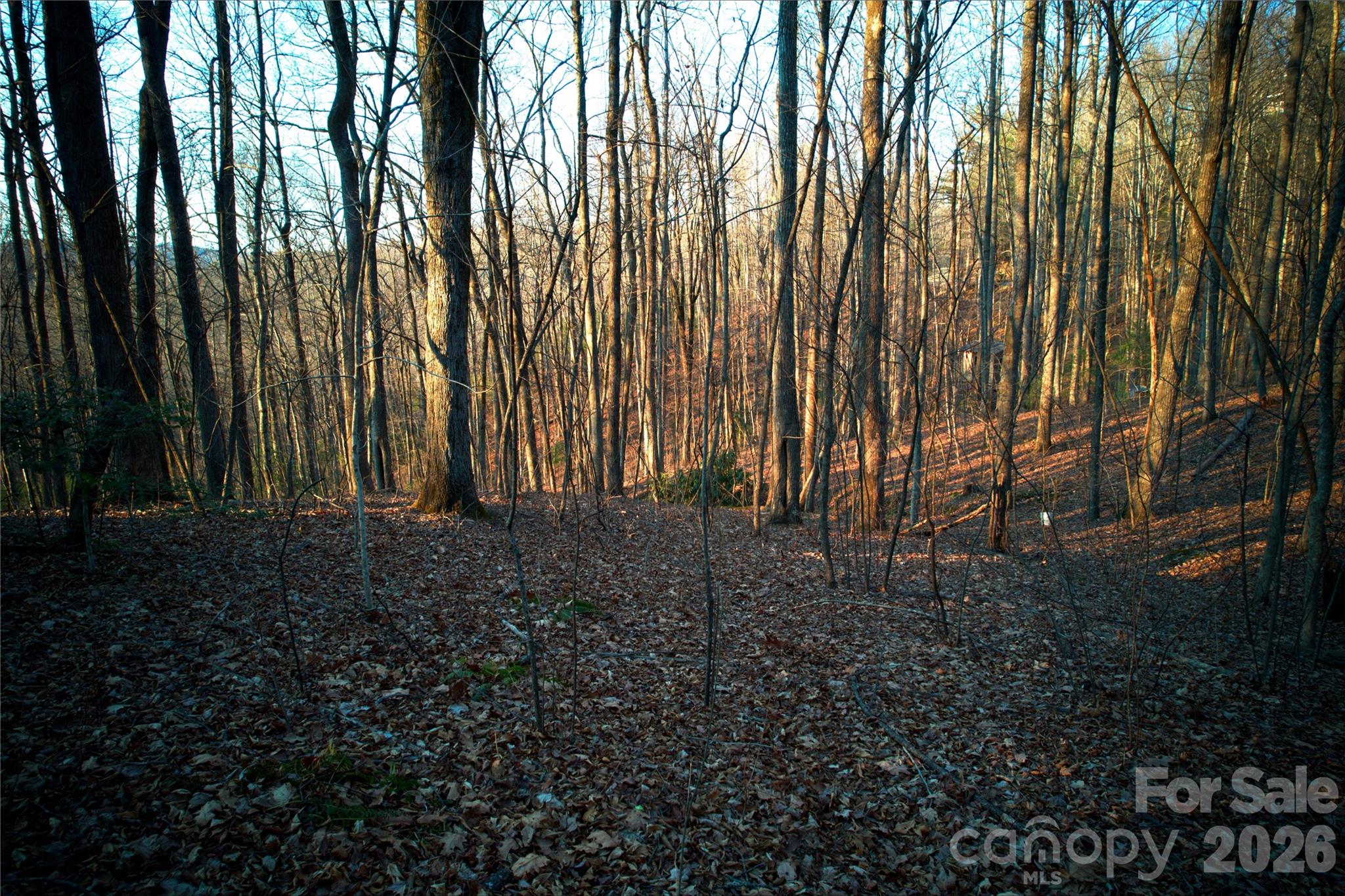 October Ridge - Land