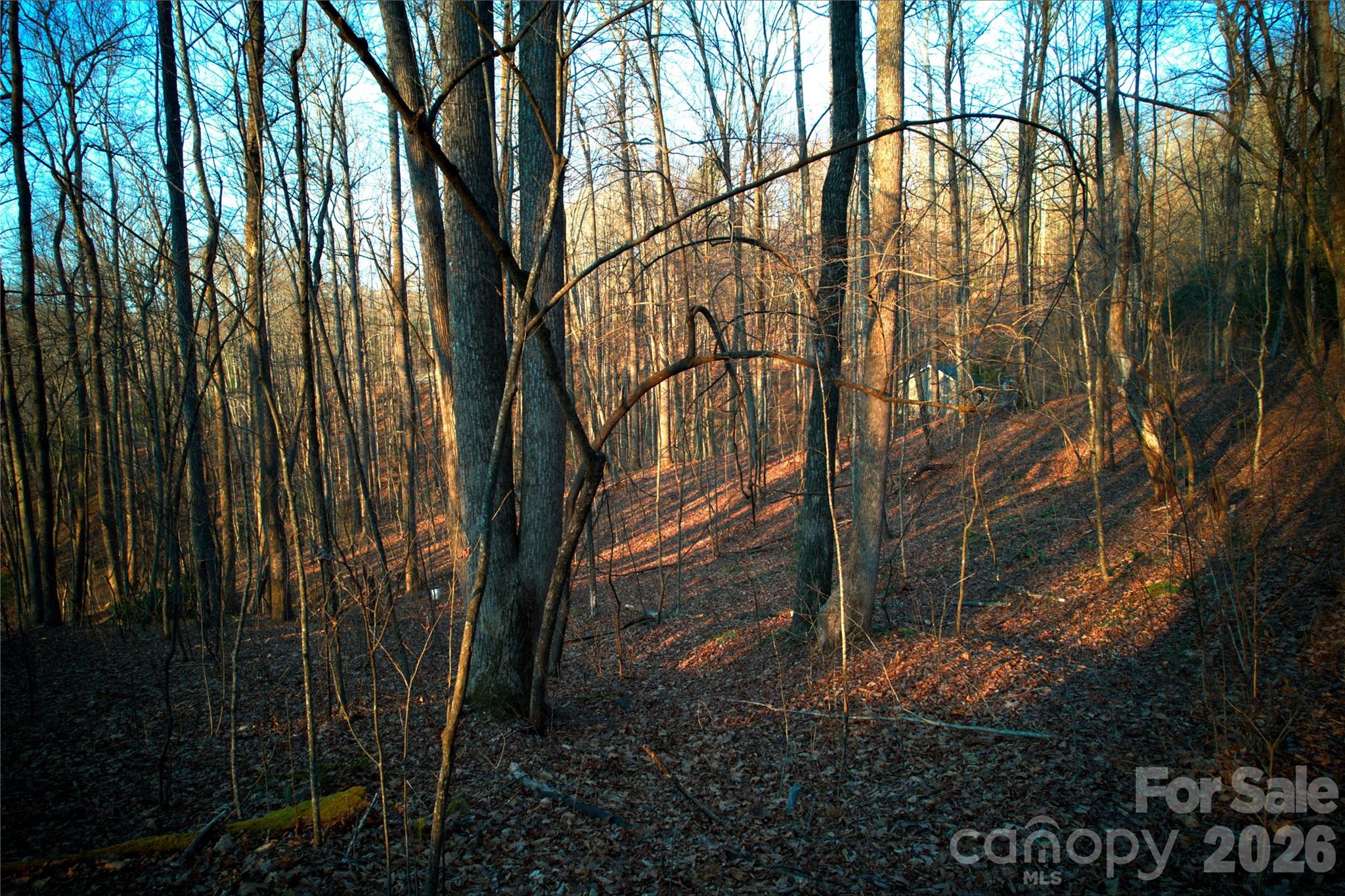 October Ridge - Land