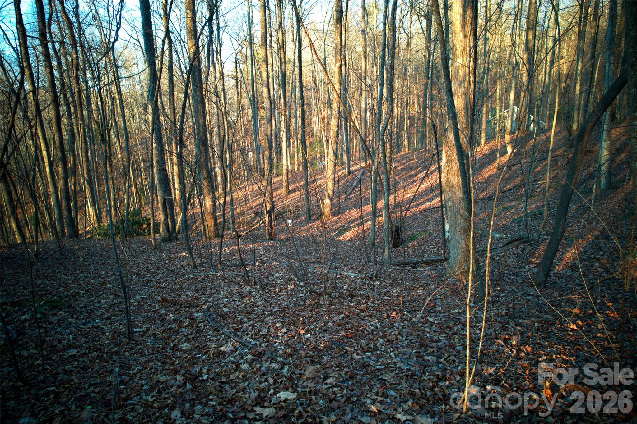 October Ridge - Land