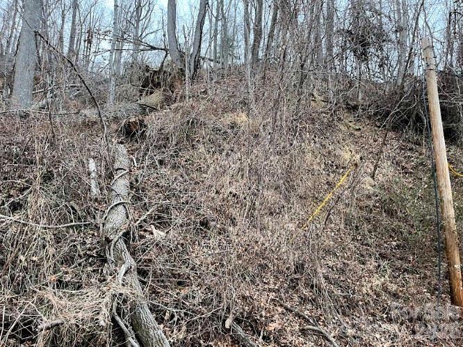 65 Weeping Cherry Forest Road