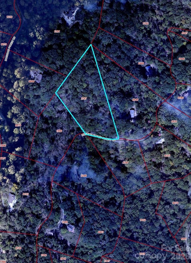 65 Weeping Cherry Forest Road